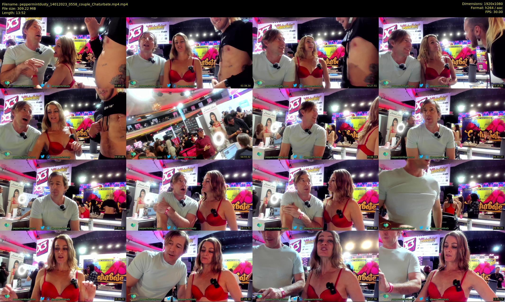 peppermintdusty — 14 minute Chaturbate couple cam show recording, 1080p, Jan 14, 2023