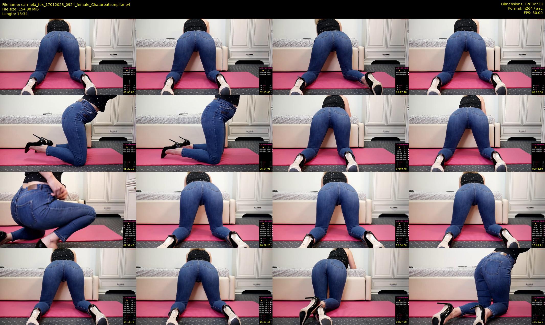 carmela_fox — 19 minute Chaturbate female cam show recording, 720p, Jan 17, 2023