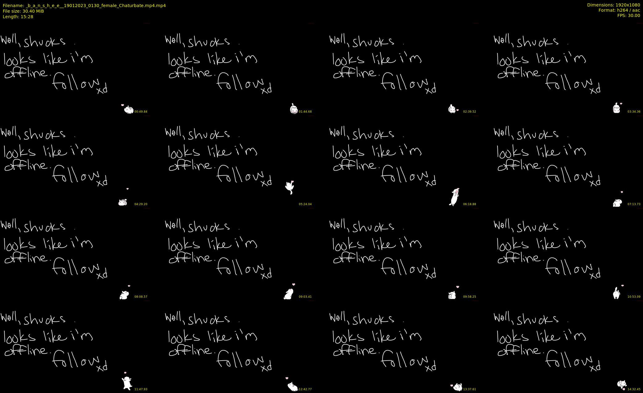_b_a_n_s_h_e_e_ — 16 minute Chaturbate female cam show recording, 1080p, Jan 19, 2023