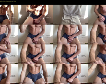 bestdick1991 — 47 minute Chaturbate male cam show recording, 720p, Jan 18, 2023