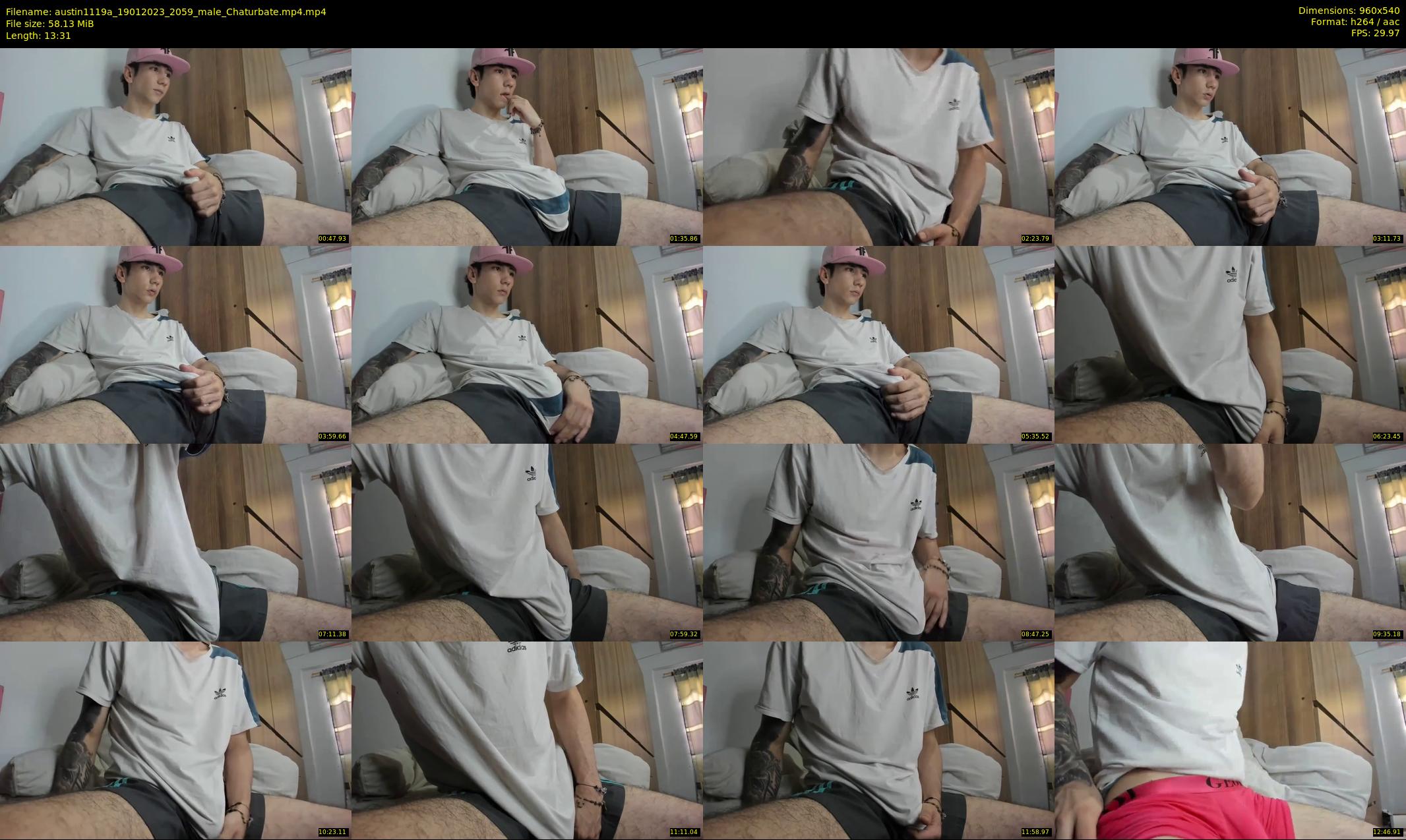 austin1119a — 14 minute Chaturbate male cam show recording, 480p, Jan 19, 2023