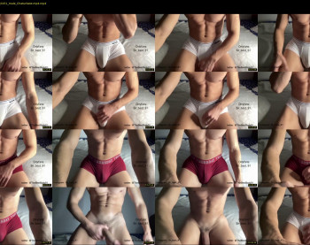 bestdick1991 — 91 minute Chaturbate male cam show recording, 720p, Jan 20, 2023