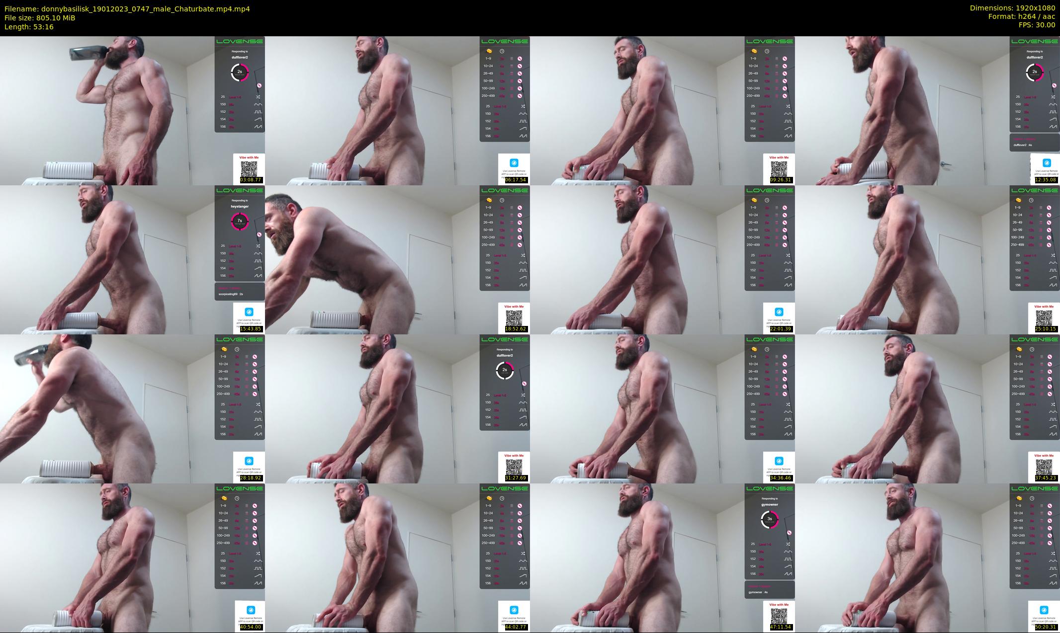 donnybasilisk — 54 minute Chaturbate male cam show recording, 1080p, Jan 19, 2023