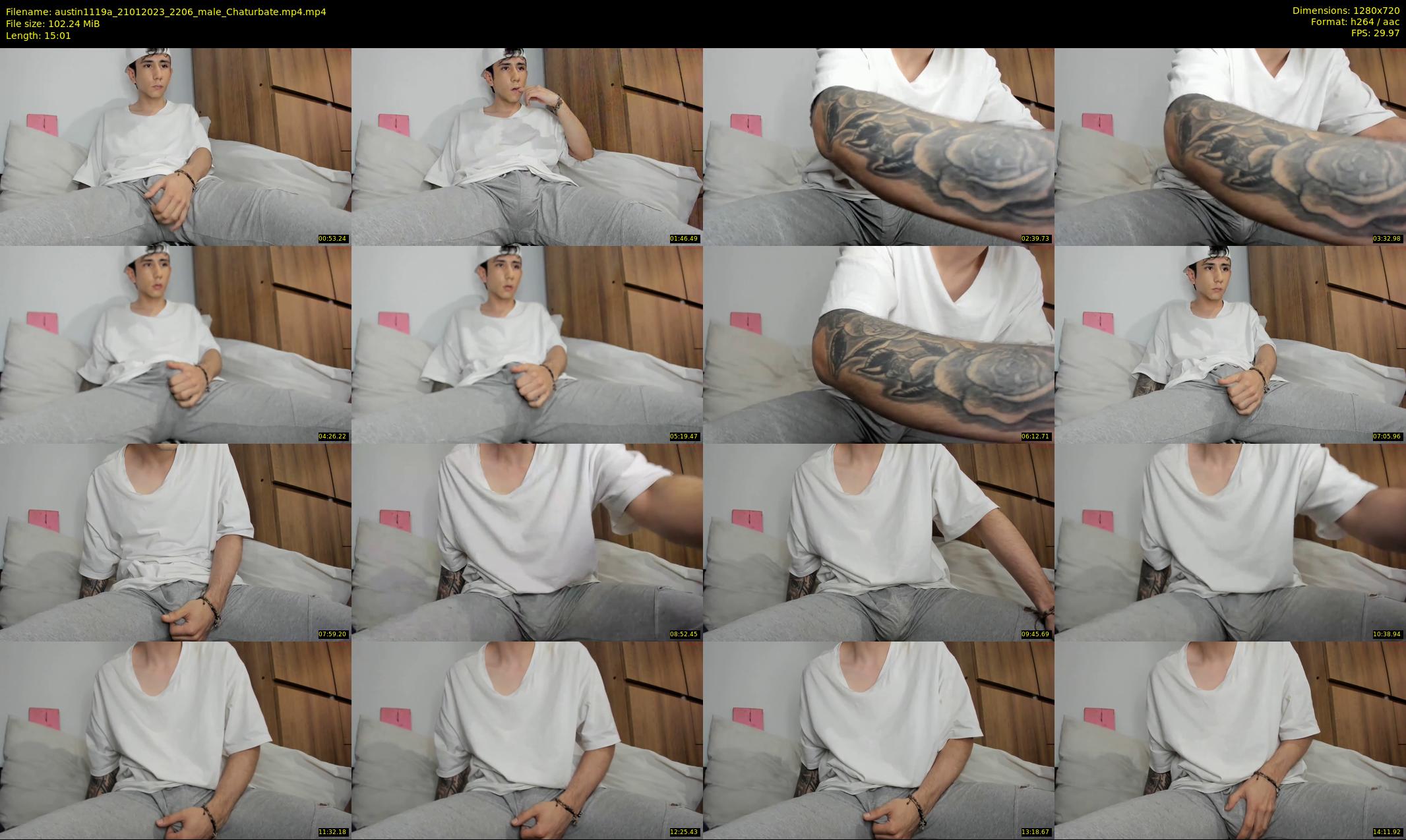 austin1119a — 16 minute Chaturbate male cam show recording, 720p, Jan 21, 2023