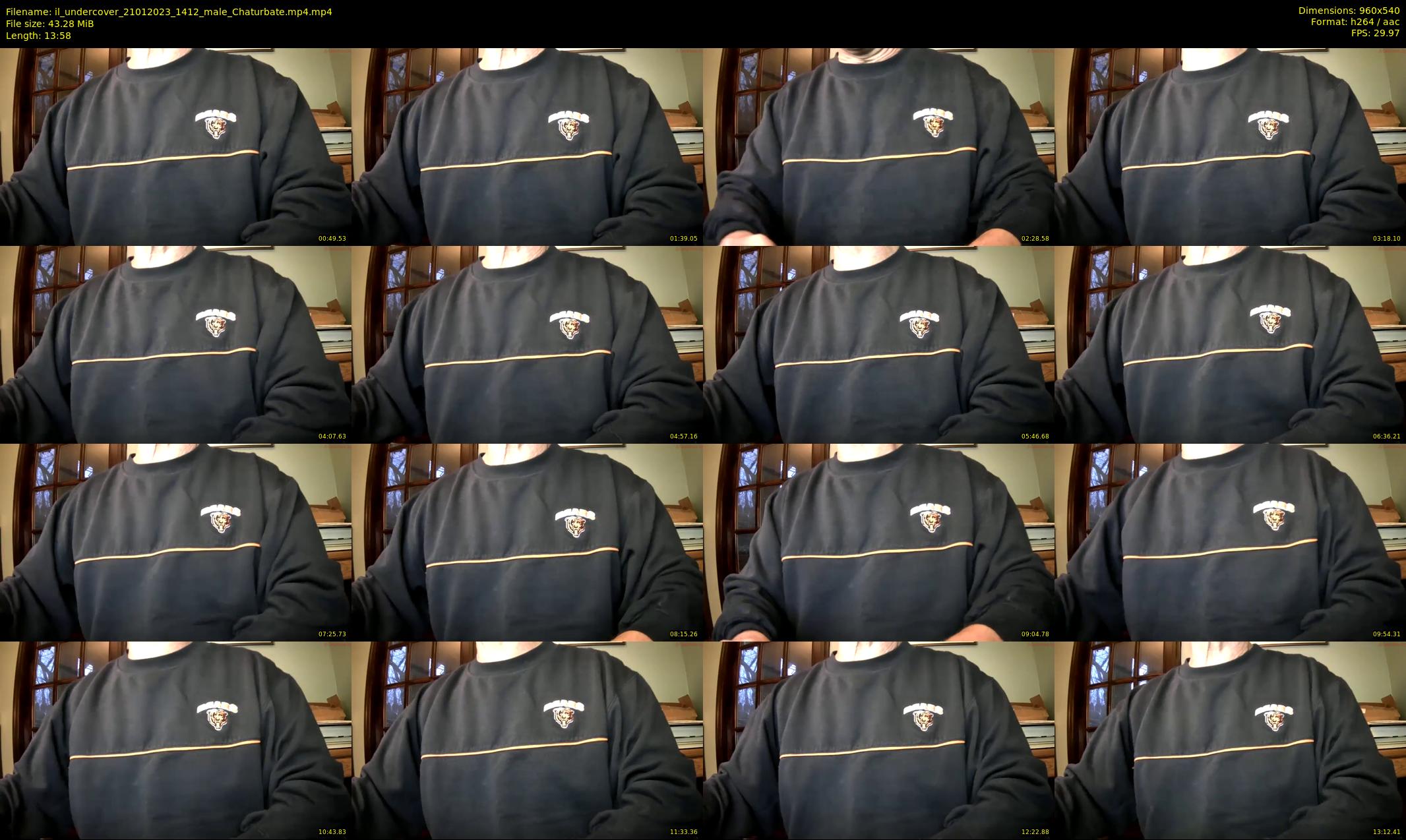 il_undercover — 14 minute Chaturbate male cam show recording, 480p, Jan 21, 2023