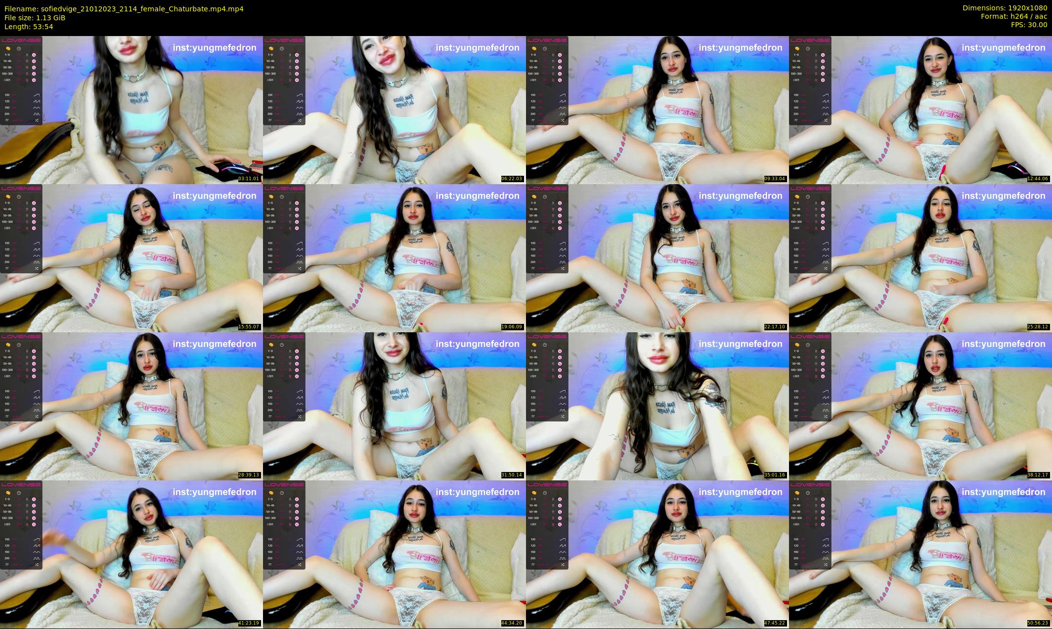 sofiedvige — 54 minute Chaturbate couple cam show recording, 1080p, Jan 21, 2023