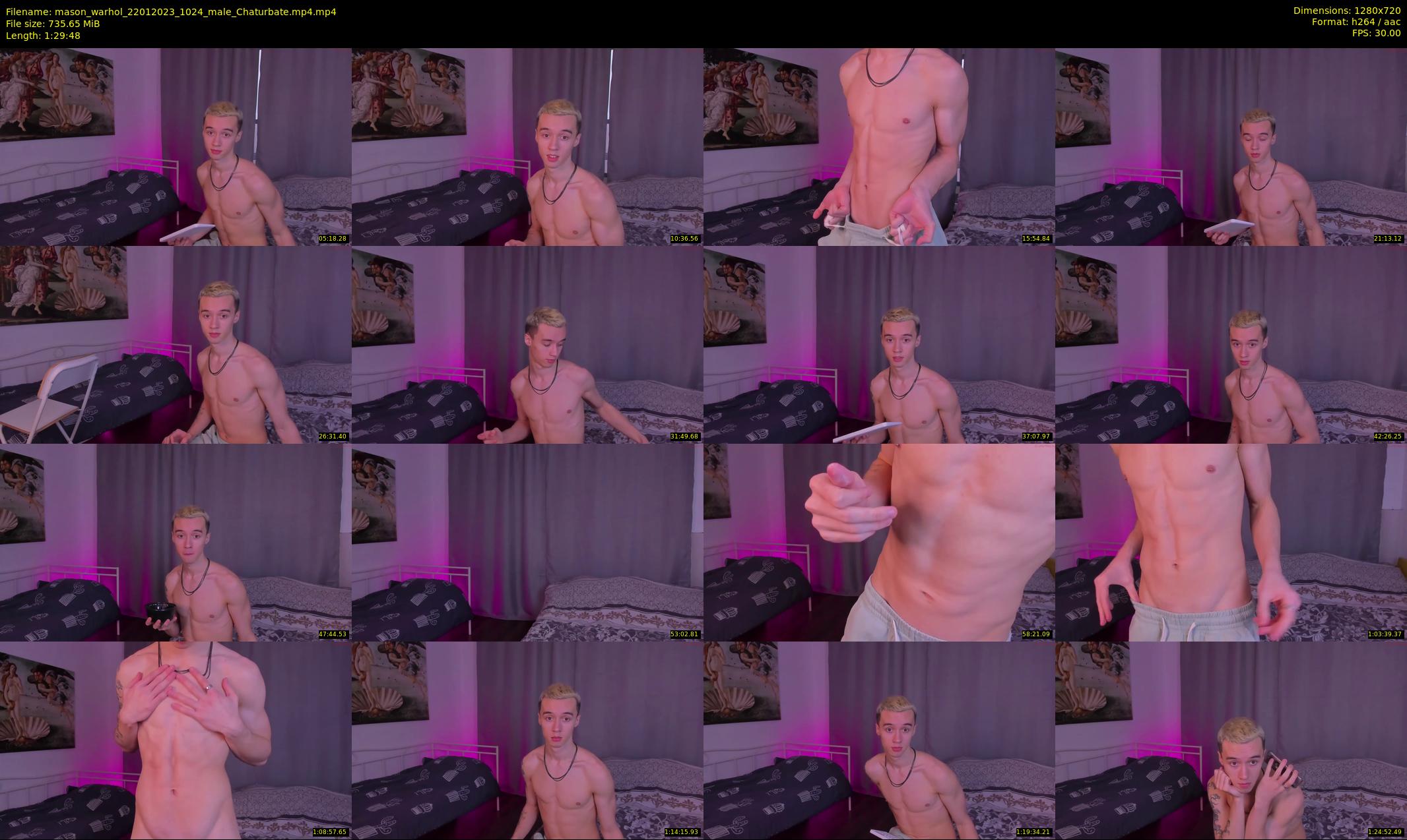 mason_warhol — 90 minute Chaturbate male cam show recording, 720p, Jan 22, 2023