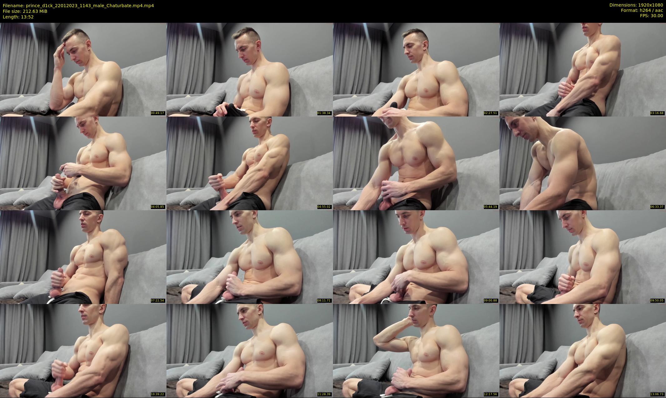 prince_d1ck — 14 minute Chaturbate male cam show recording, 1080p, Jan 22, 2023