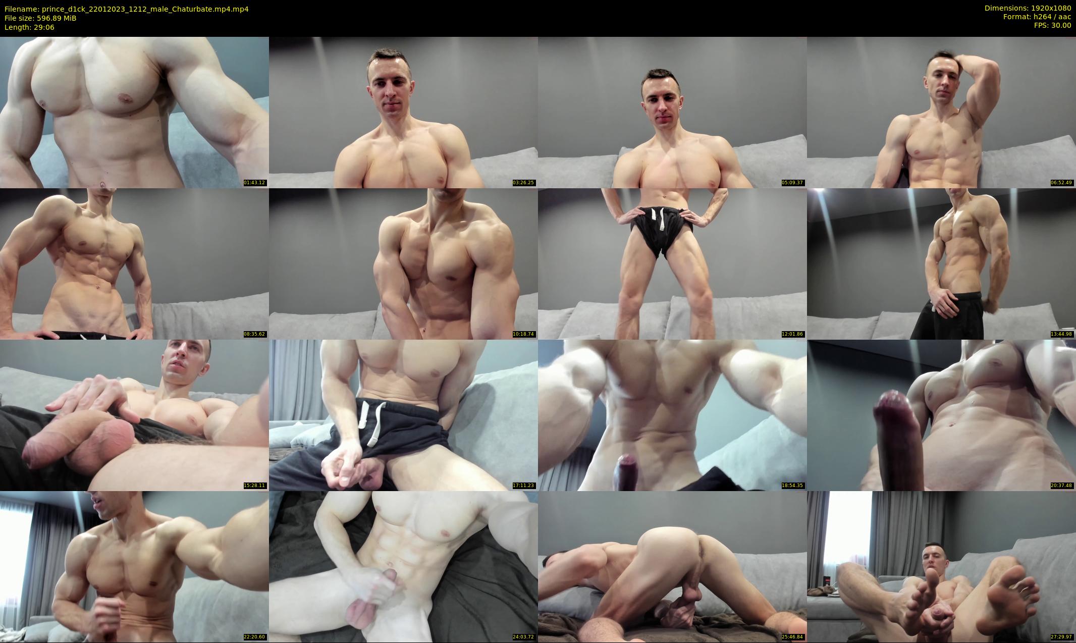 prince_d1ck — 30 minute Chaturbate male cam show recording, 1080p, Jan 22, 2023