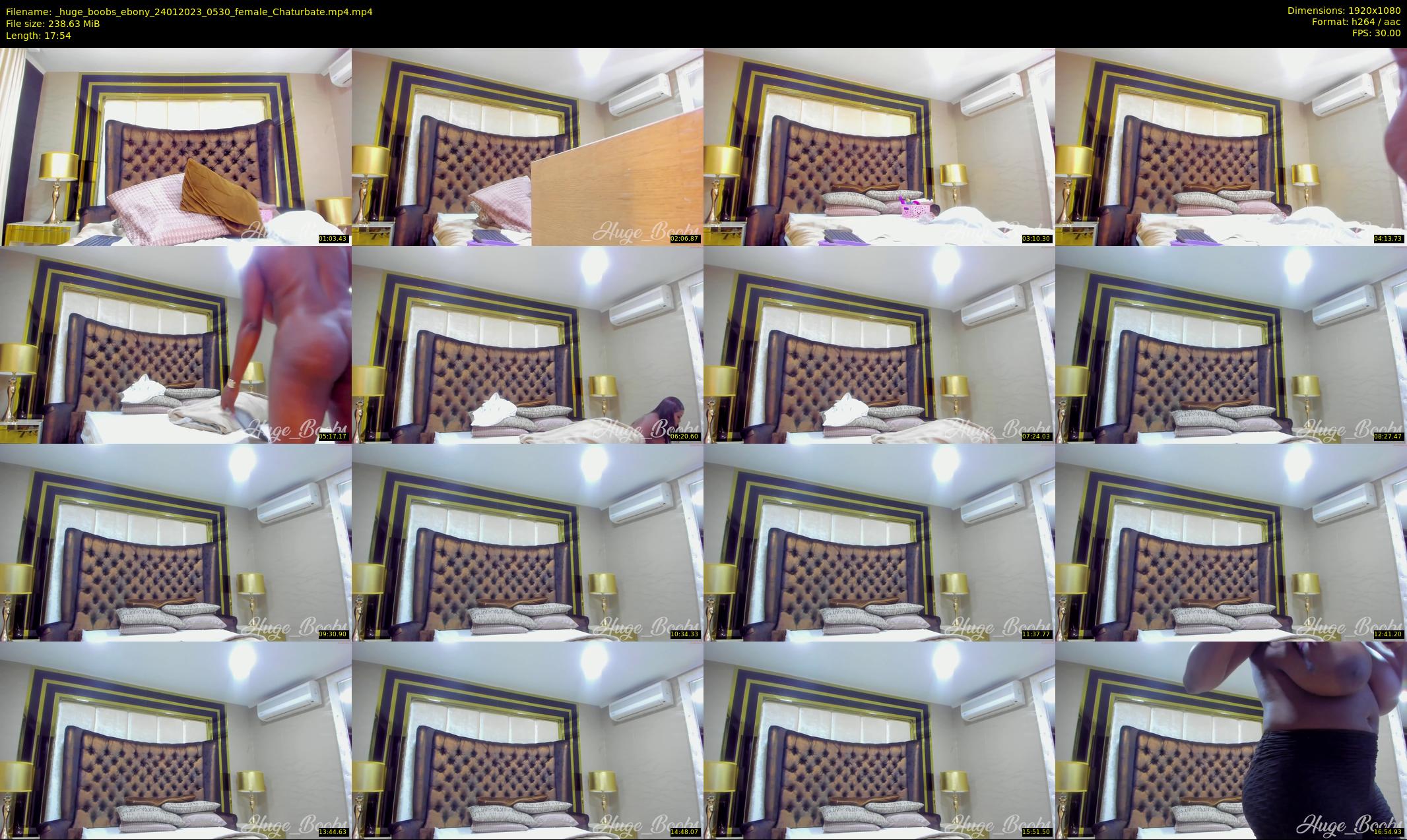 _huge_boobs_ebony — 18 minute Chaturbate female cam show recording, 1080p, Jan 24, 2023