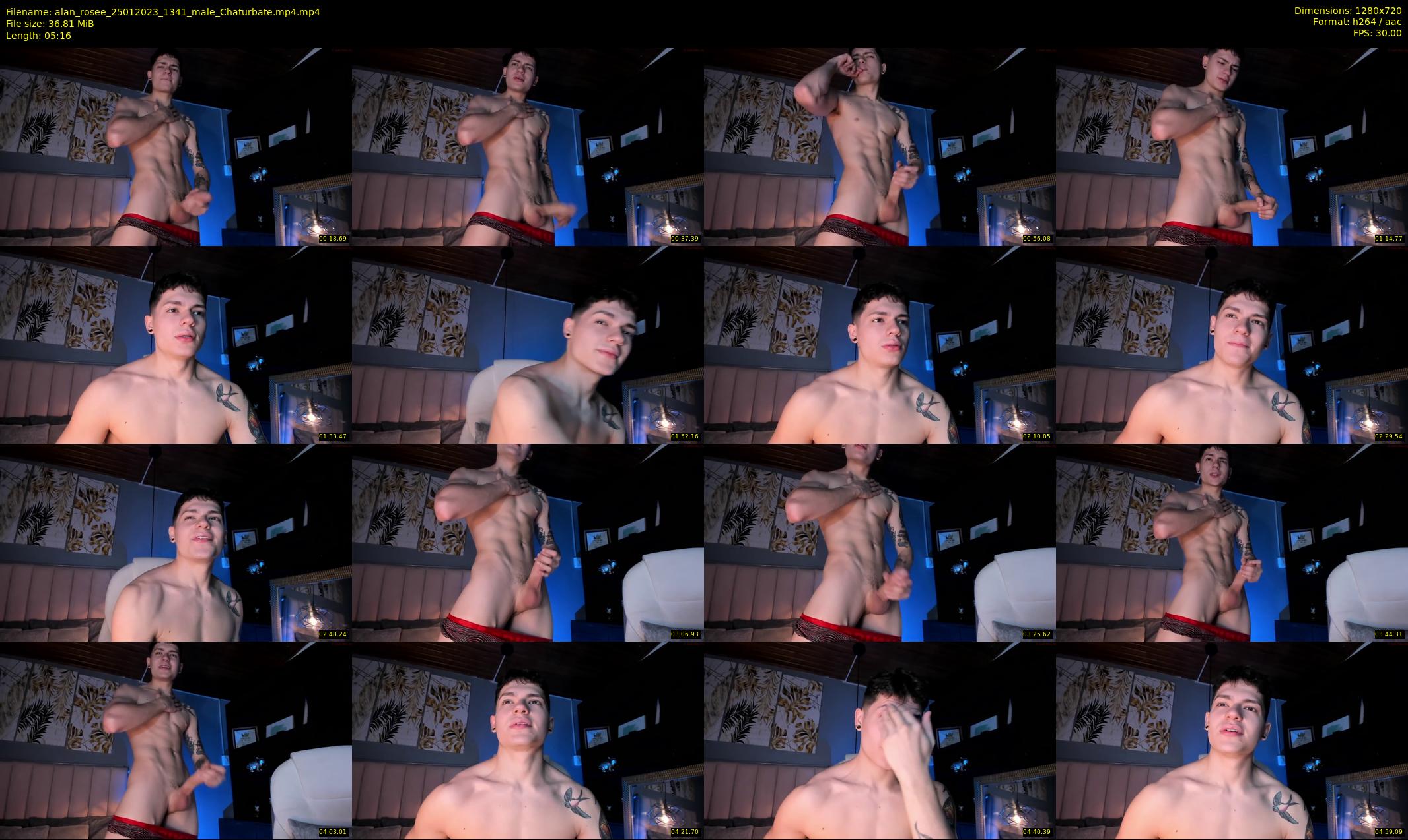 alan_rosee — 6 minute Chaturbate male cam show recording, 720p, Jan 25, 2023