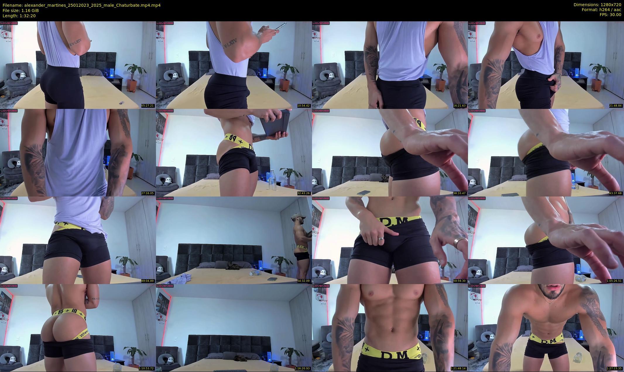 alexander_martines — 93 minute Chaturbate male cam show recording, 720p, Jan 25, 2023
