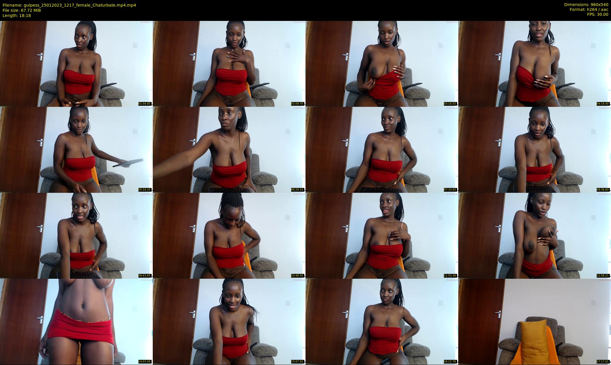 gulpess — 19 minute Chaturbate female cam show recording, 480p, Jan 25, 2023