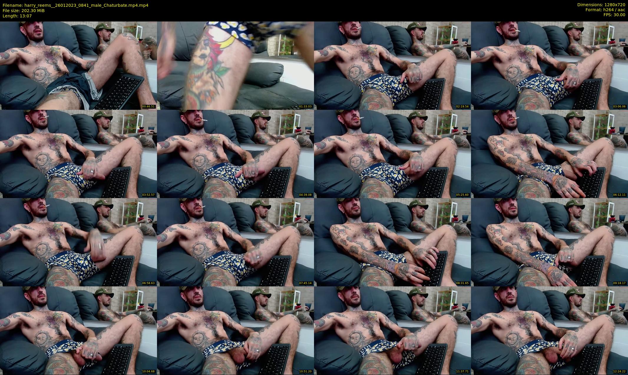 harry_reems_ — 14 minute Chaturbate male cam show recording, 720p, Jan 26, 2023