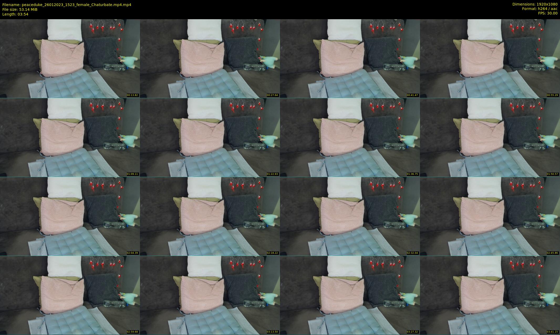 peaceduke — 4 minute Chaturbate female cam show recording, 1080p, Jan 26, 2023