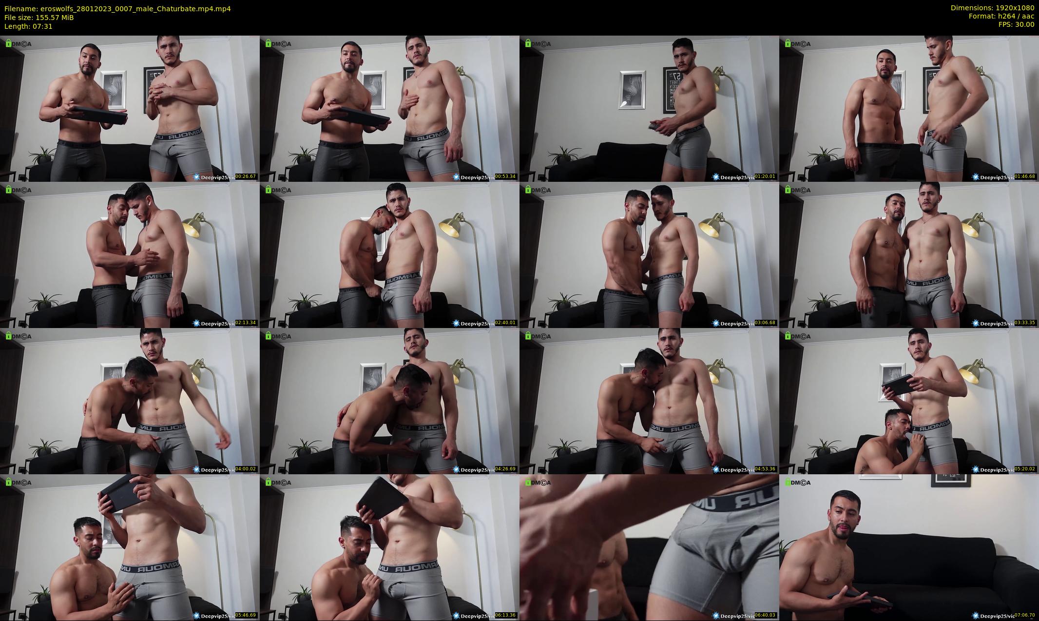 eroswolfs — 8 minute Chaturbate male cam show recording, 1080p, Jan 28, 2023