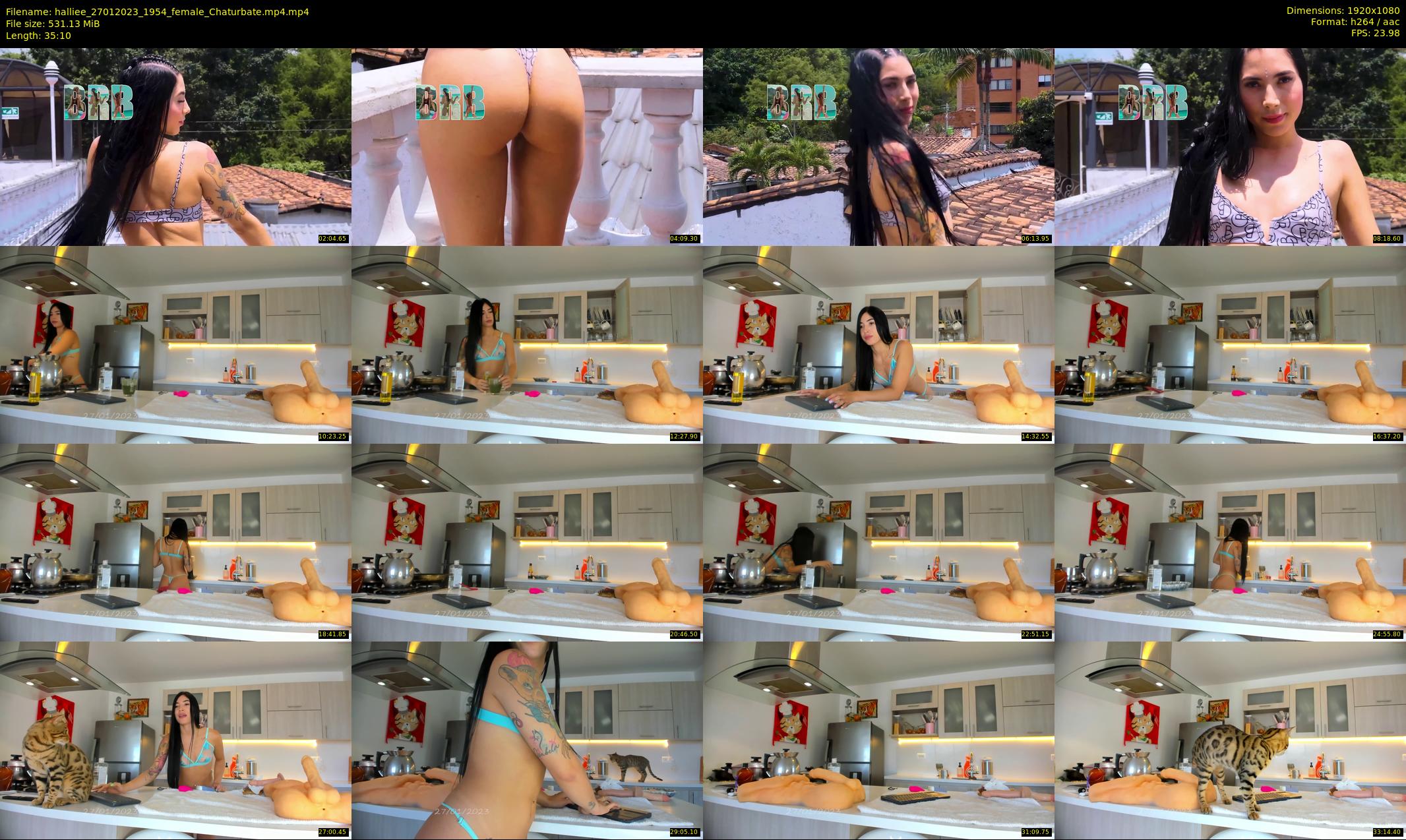 halliee — 36 minute Chaturbate couple cam show recording, 1080p, Jan 27, 2023