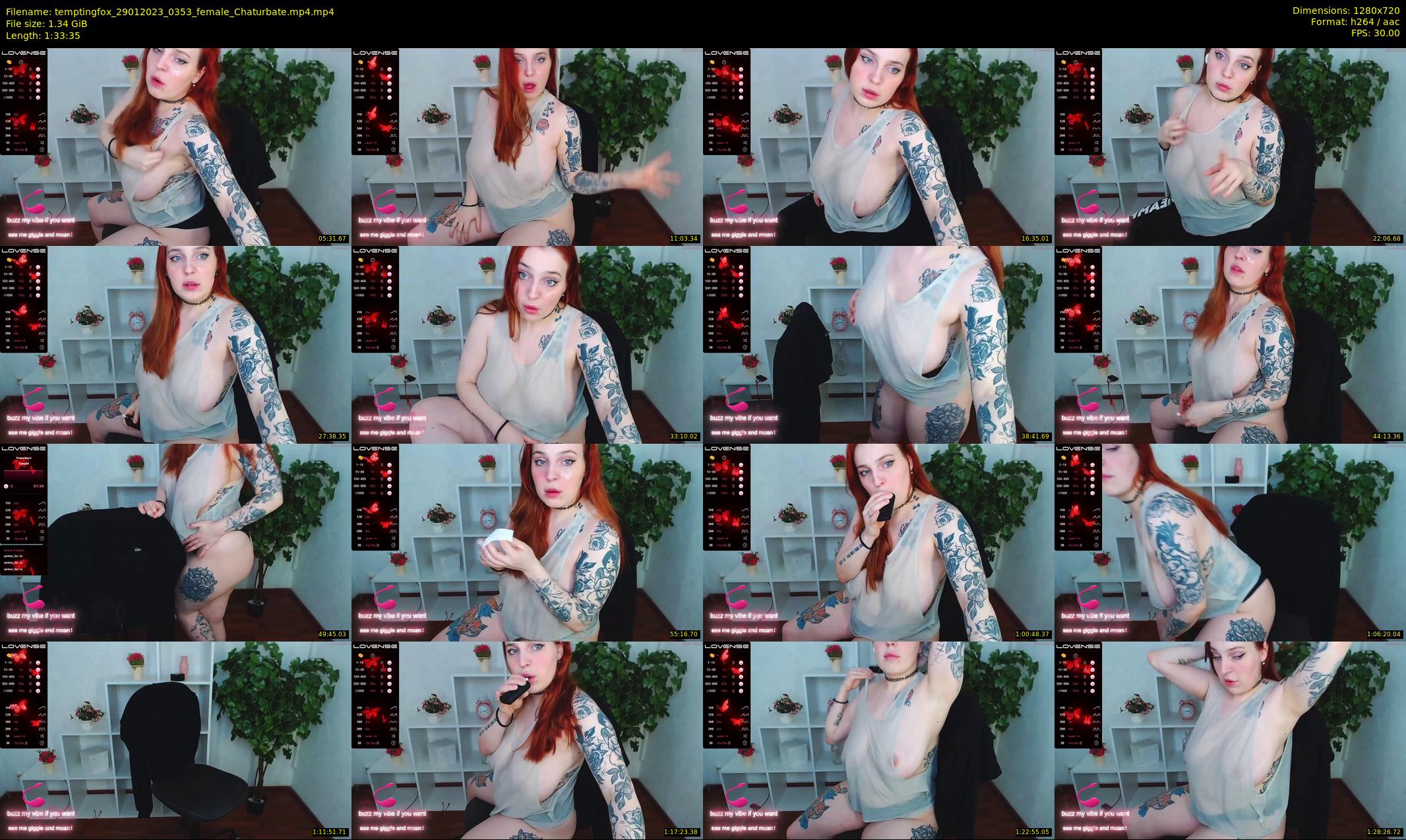 temptingfox — 94 minute Chaturbate female cam show recording, 720p, Jan 29, 2023