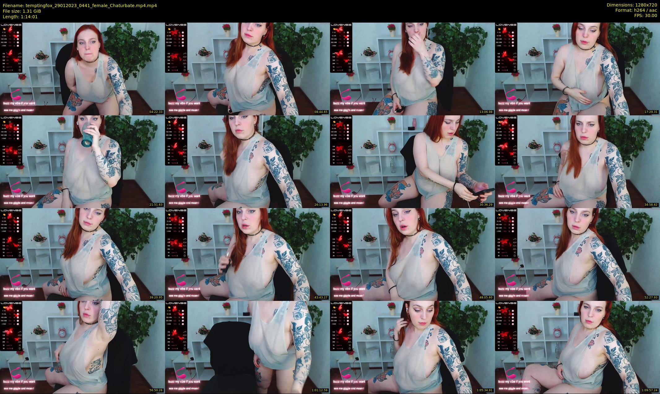 temptingfox — 75 minute Chaturbate female cam show recording, 720p, Jan 29, 2023