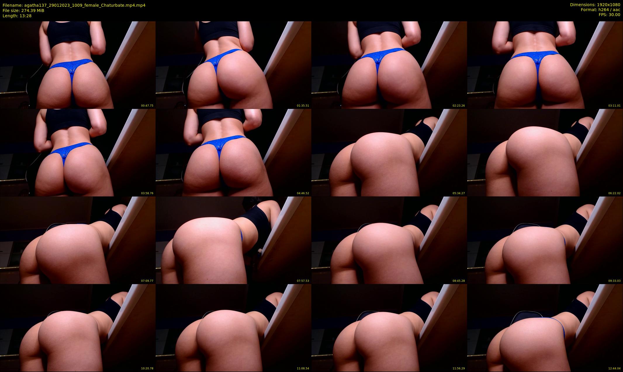 agatha137 — 14 minute Chaturbate female cam show recording, 1080p, Jan 29, 2023