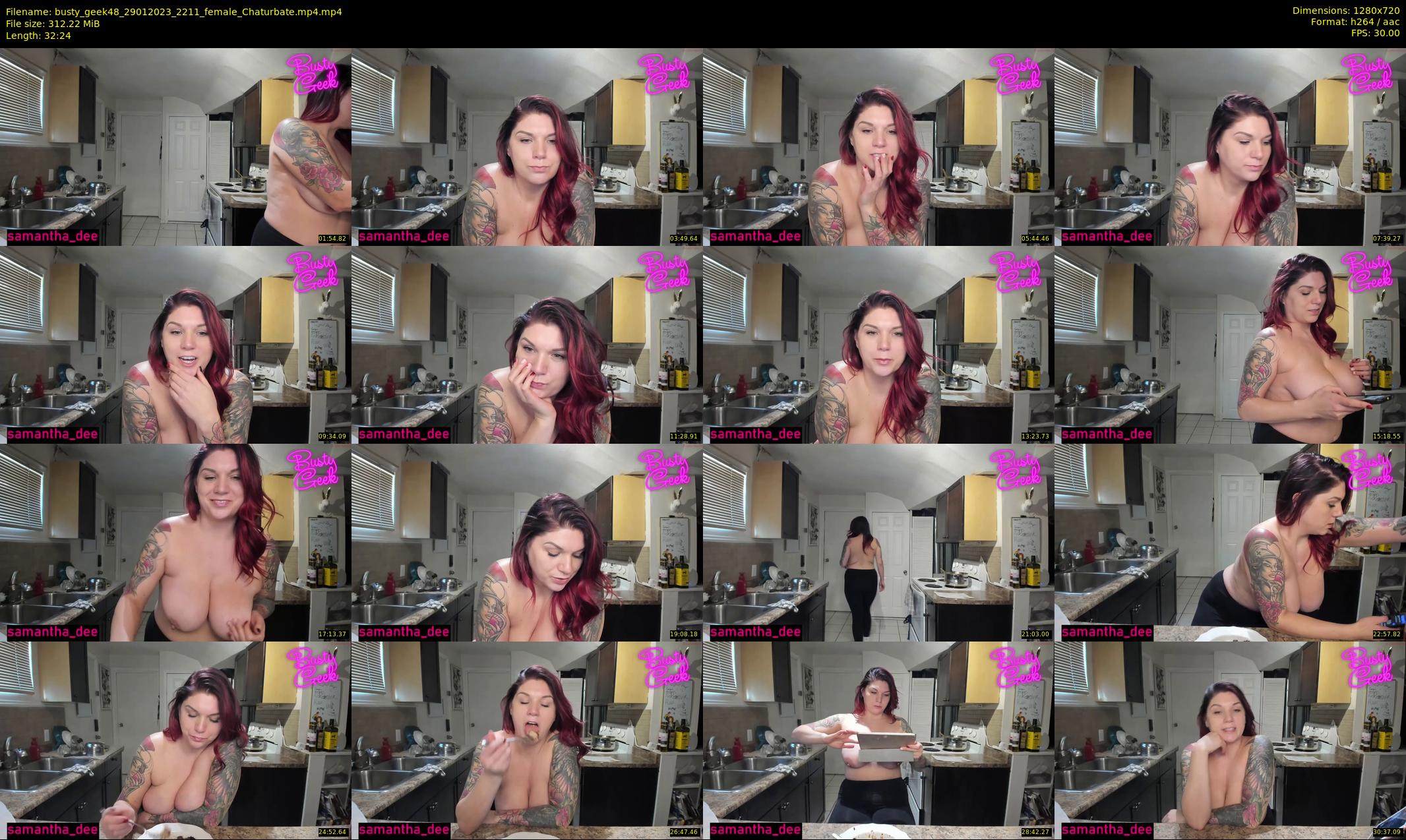 busty_geek48 — 33 minute Chaturbate female cam show recording, 720p, Jan 29, 2023