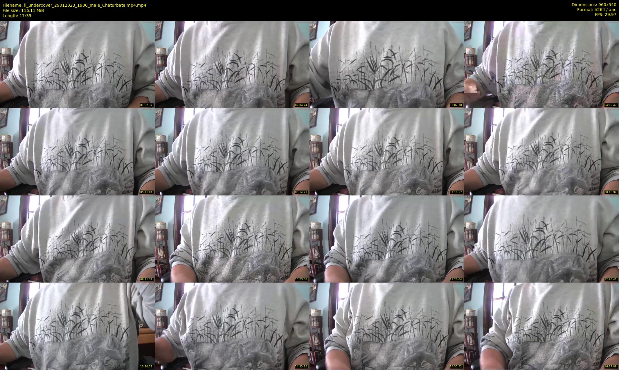 il_undercover — 18 minute Chaturbate male cam show recording, 480p, Jan 29, 2023