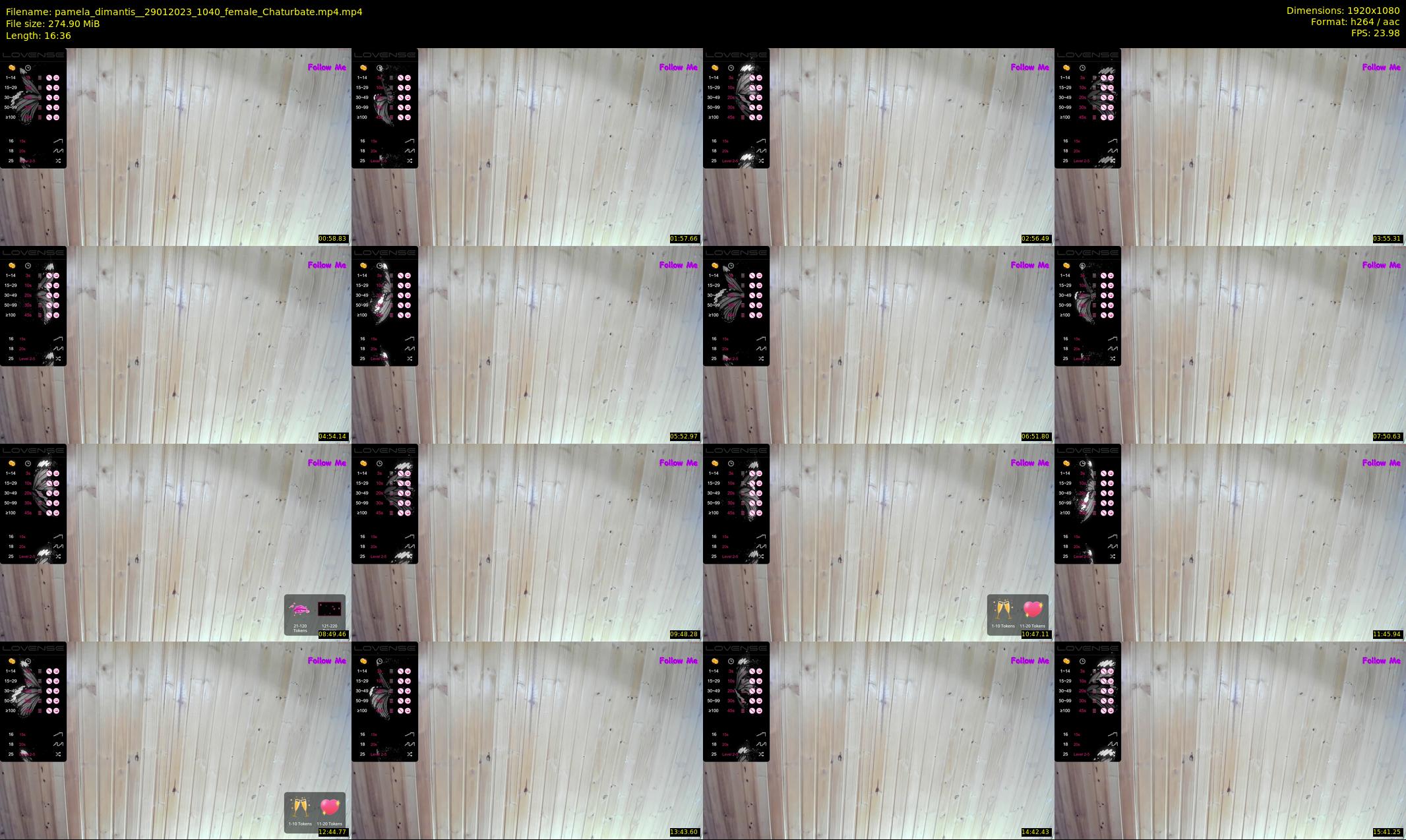 pamela_dimantis_ — 17 minute Chaturbate female cam show recording, 1080p, Jan 29, 2023