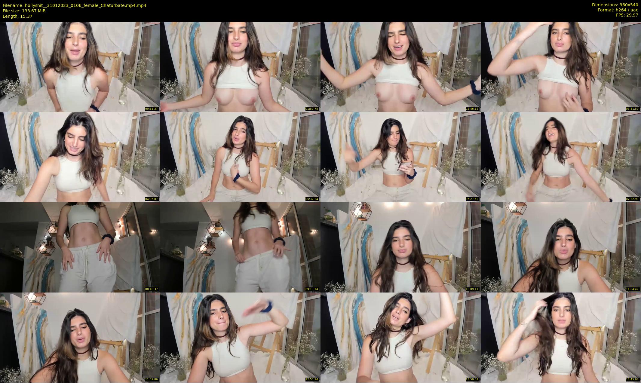 hollyshit_ — 16 minute Chaturbate female cam show recording, 480p, Jan 31, 2023