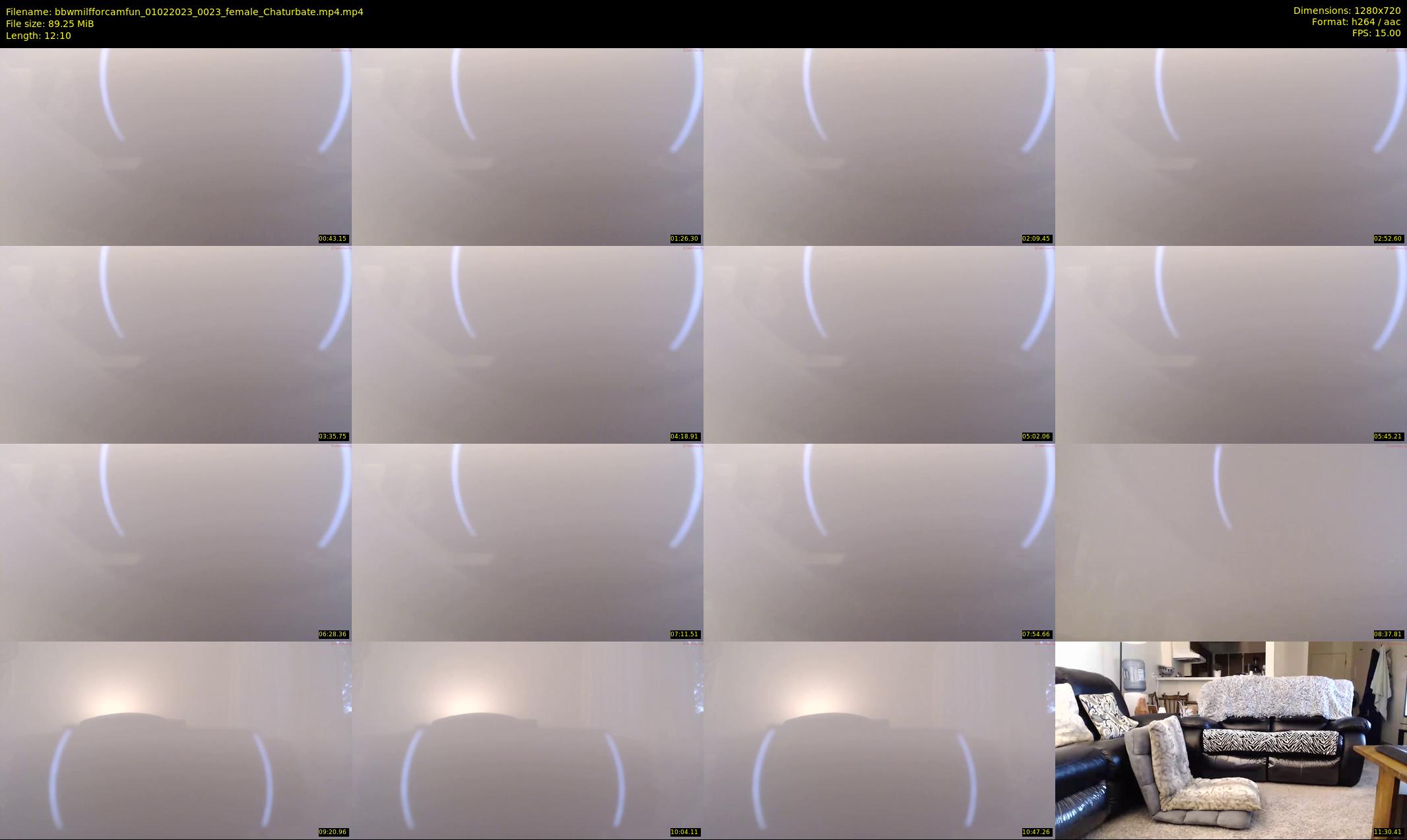 bbwmilfforcamfun — 13 minute Chaturbate female cam show recording, 720p, Feb 1, 2023