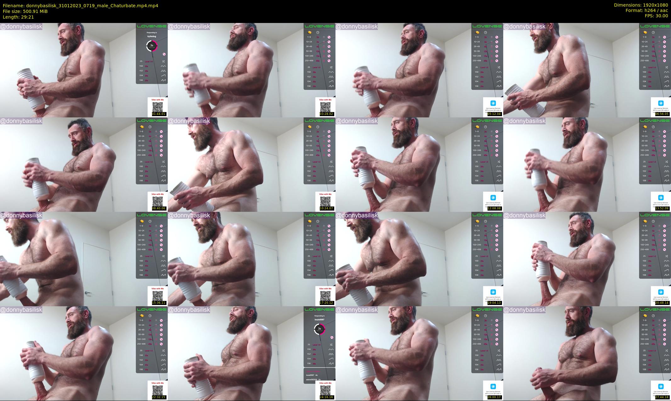 donnybasilisk — 30 minute Chaturbate male cam show recording, 1080p, Jan 31, 2023