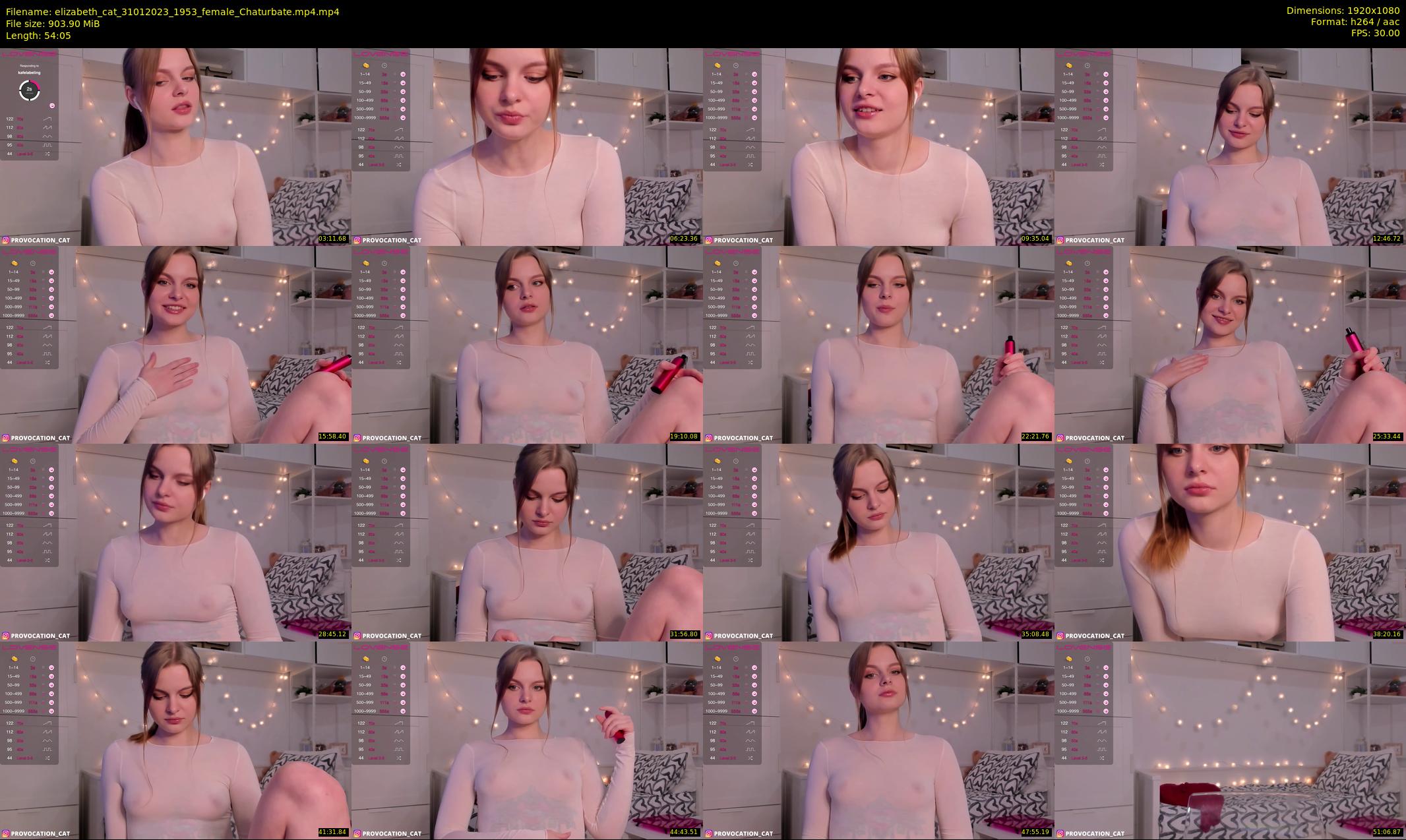 elizabeth_cat — 55 minute Chaturbate female cam show recording, 1080p, Jan 31, 2023