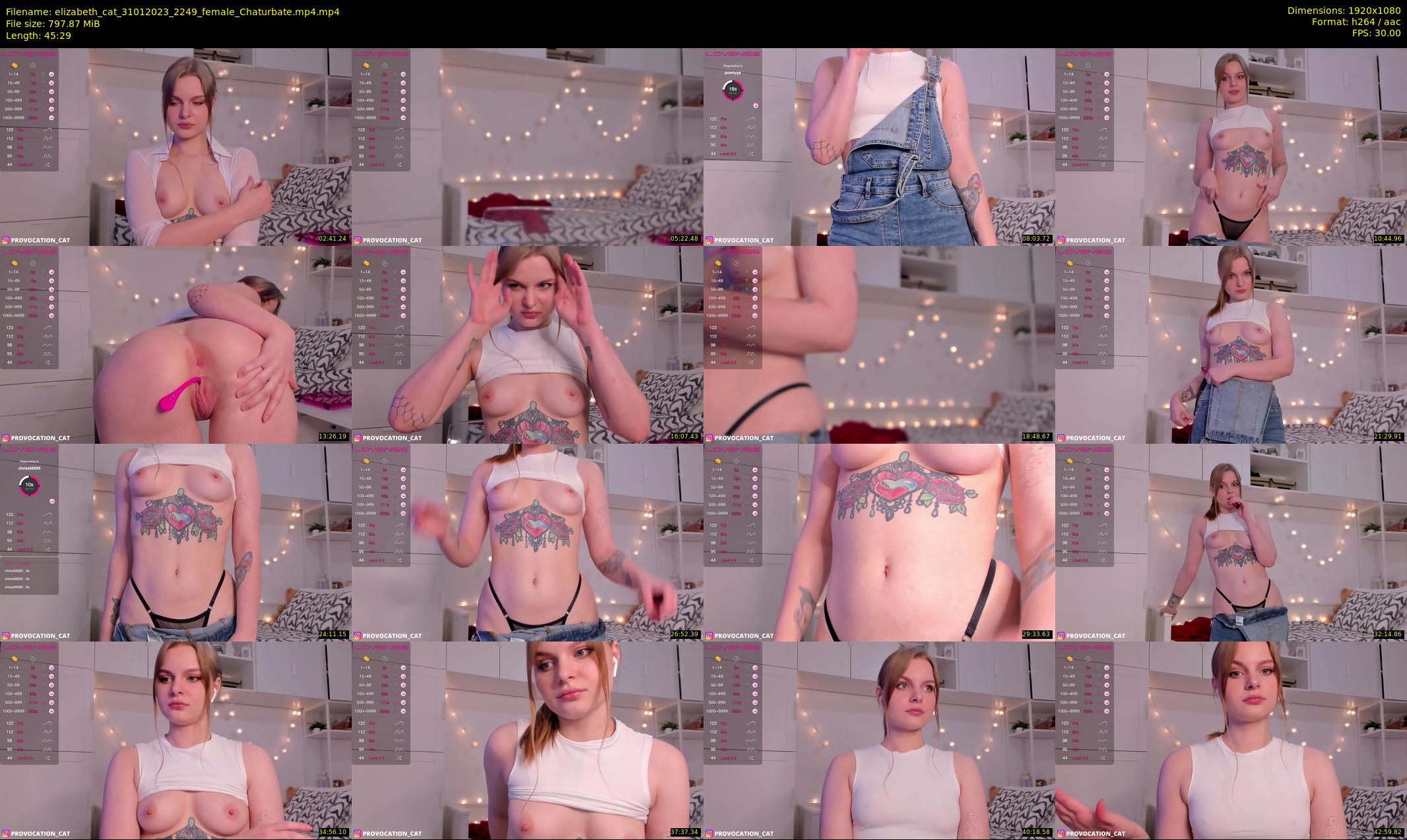 elizabeth_cat — 46 minute Chaturbate female cam show recording, 1080p, Jan 31, 2023
