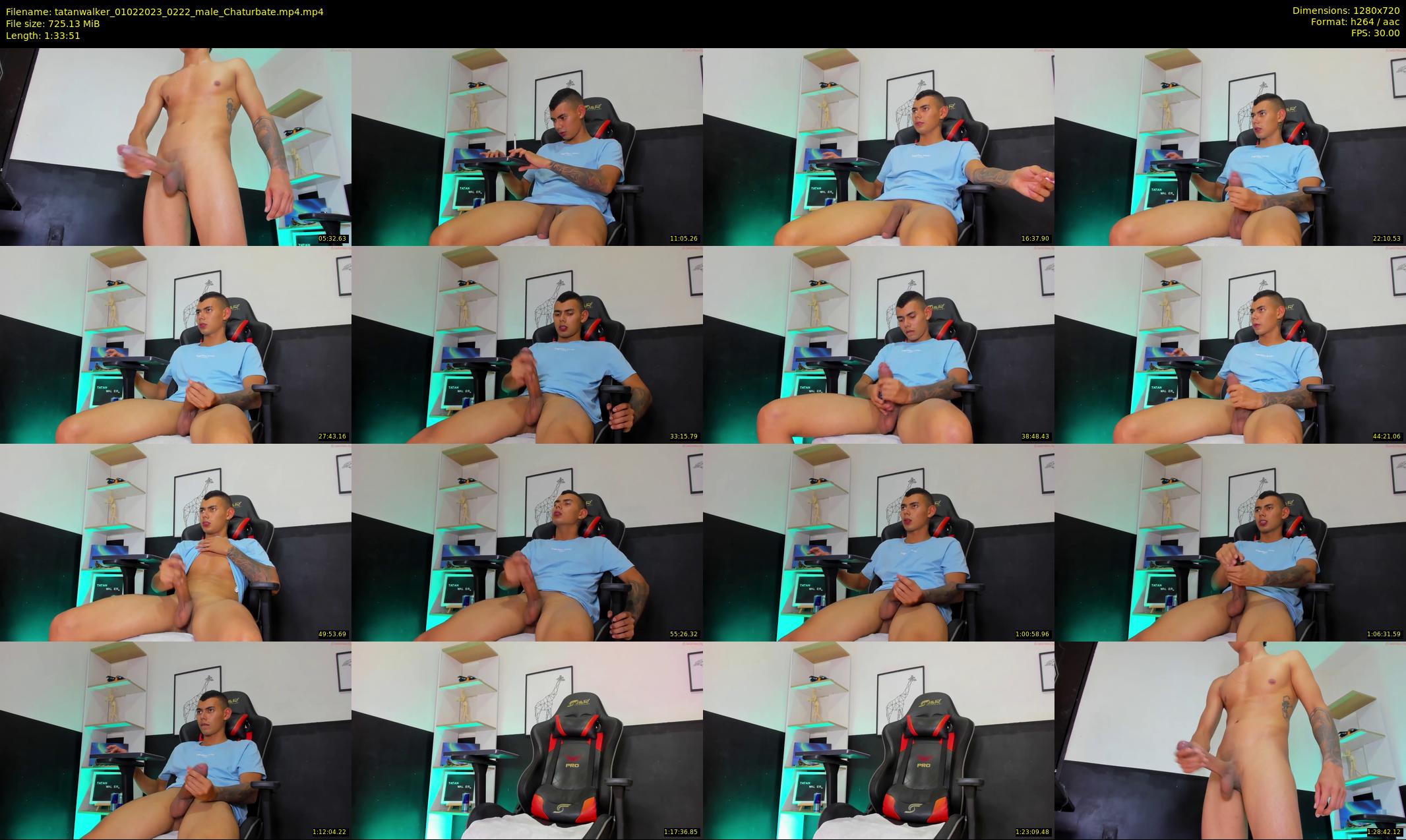 tatanwalker — 94 minute Chaturbate male cam show recording, 720p, Feb 1, 2023