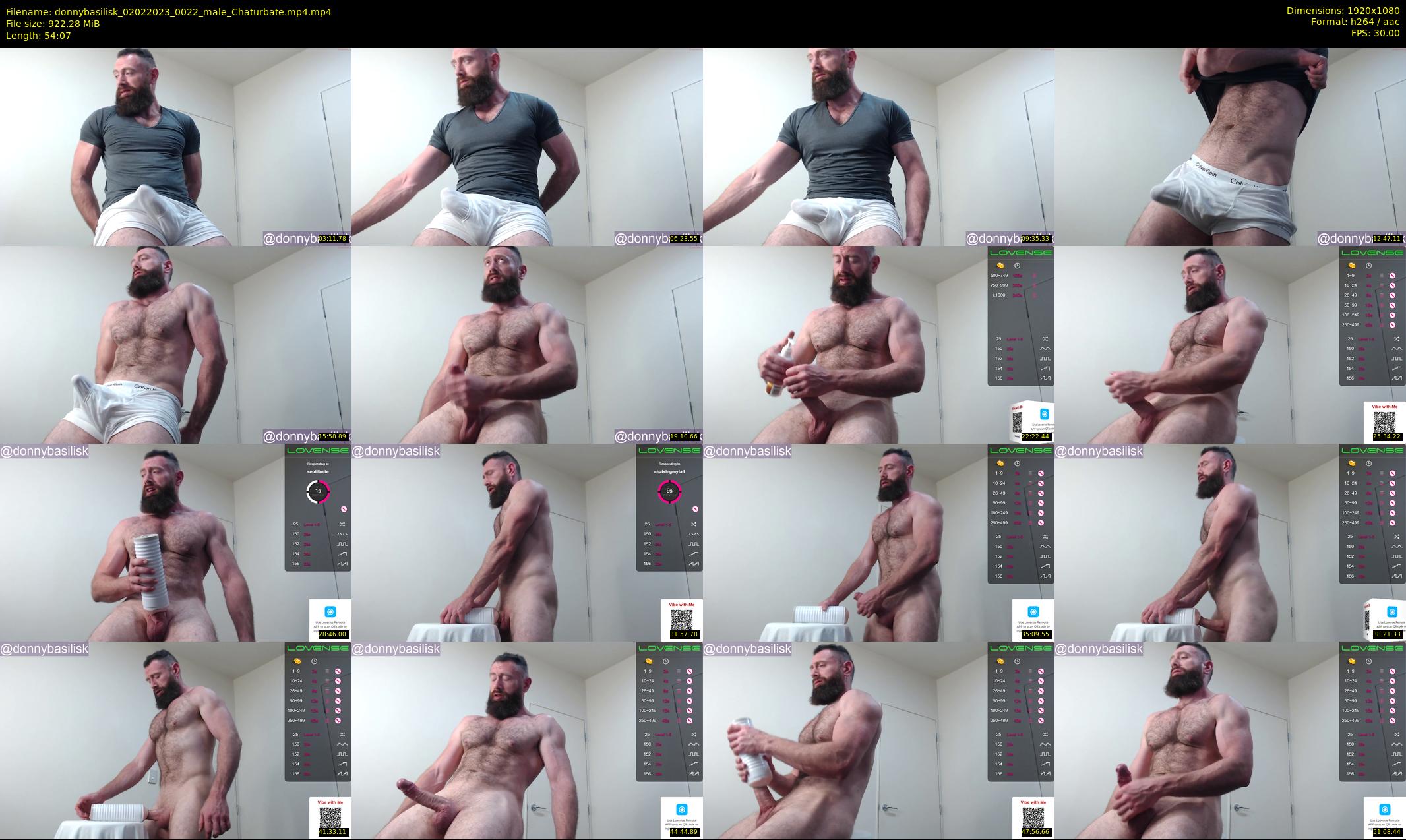 donnybasilisk — 55 minute Chaturbate male cam show recording, 1080p, Feb 2, 2023