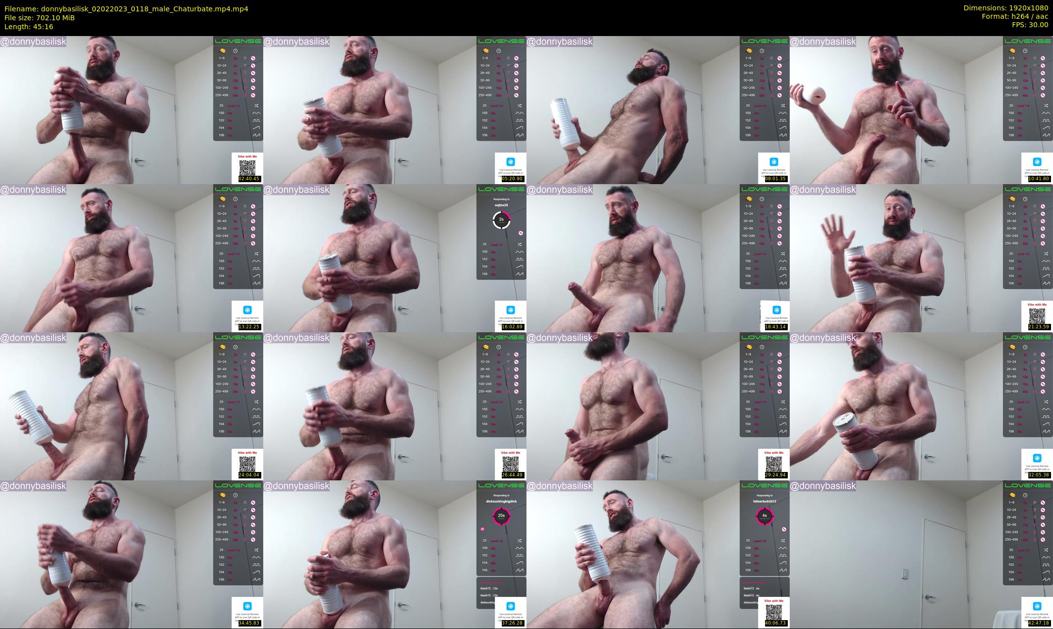 donnybasilisk — 46 minute Chaturbate male cam show recording, 1080p, Feb 2, 2023