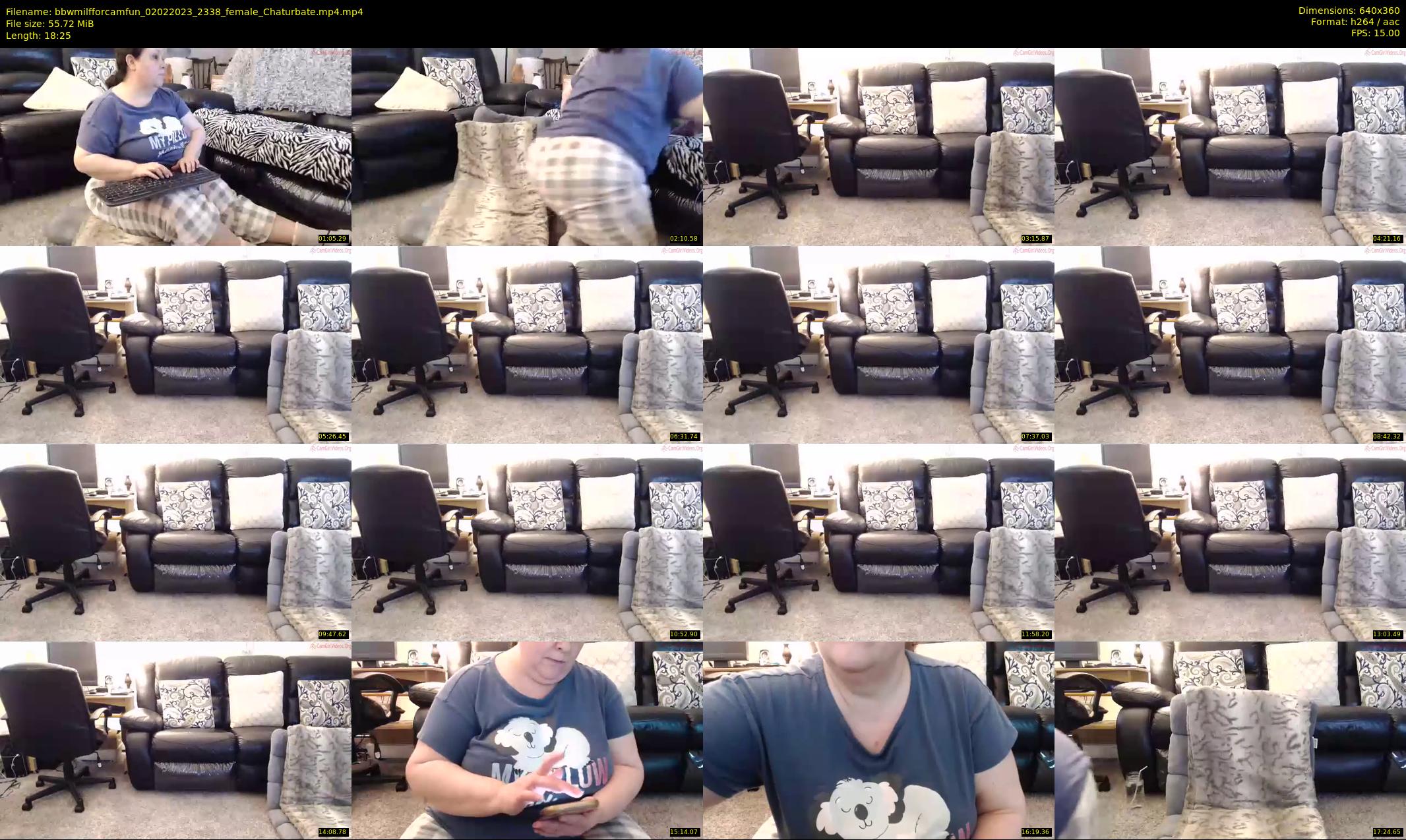 bbwmilfforcamfun — 19 minute Chaturbate female cam show recording, 360p, Feb 2, 2023