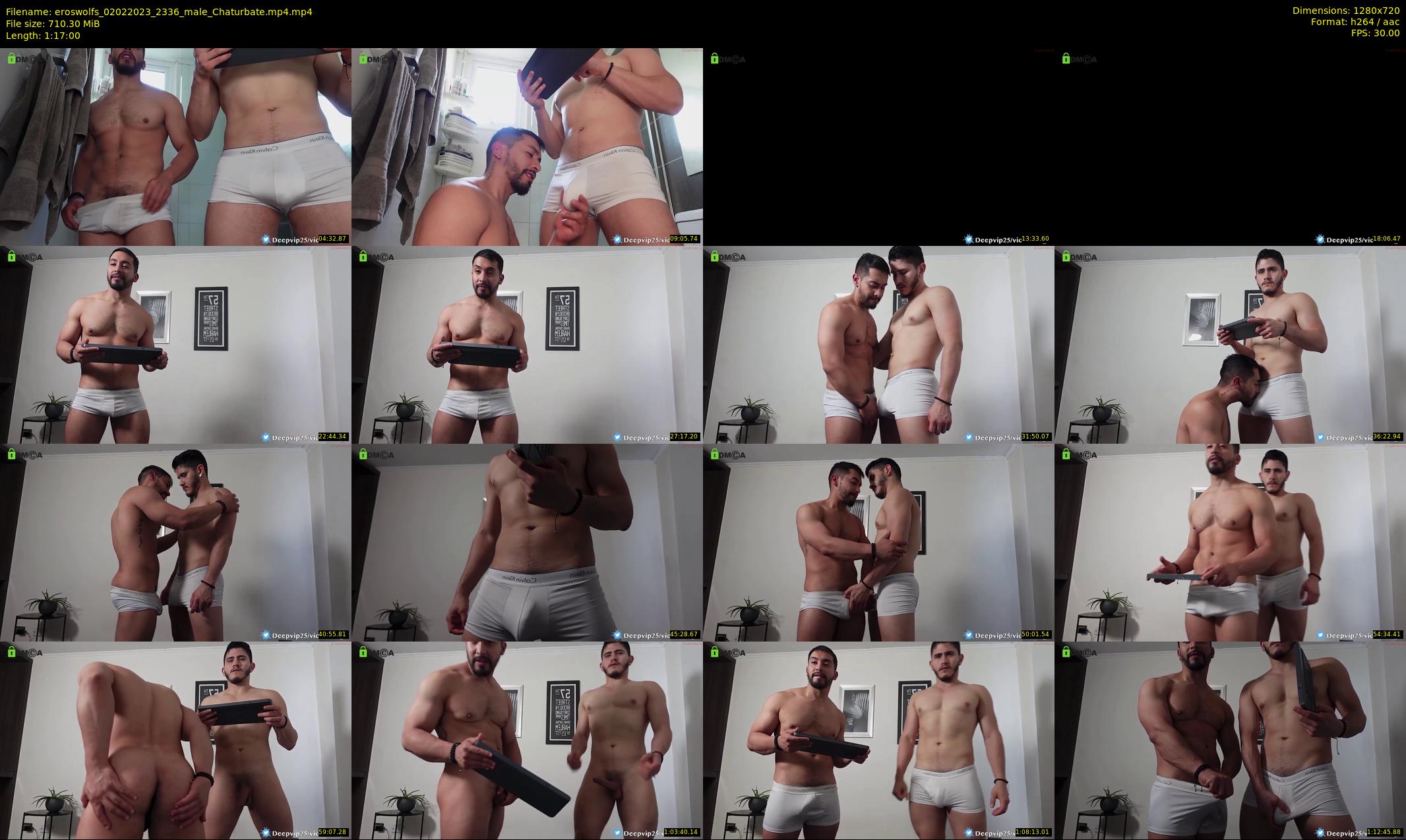 eroswolfs — 77 minute Chaturbate male cam show recording, 720p, Feb 2, 2023