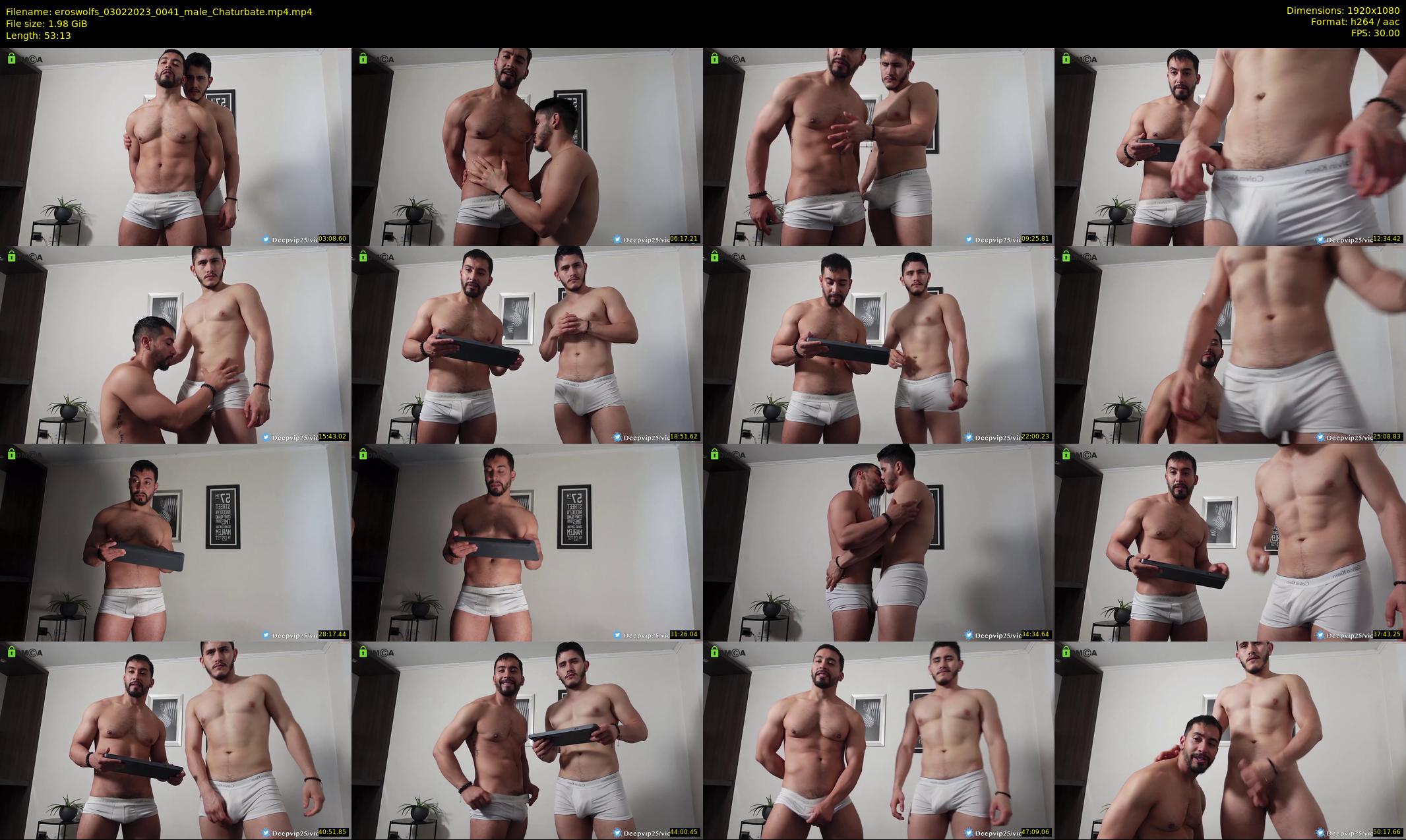 eroswolfs — 54 minute Chaturbate male cam show recording, 1080p, Feb 3, 2023