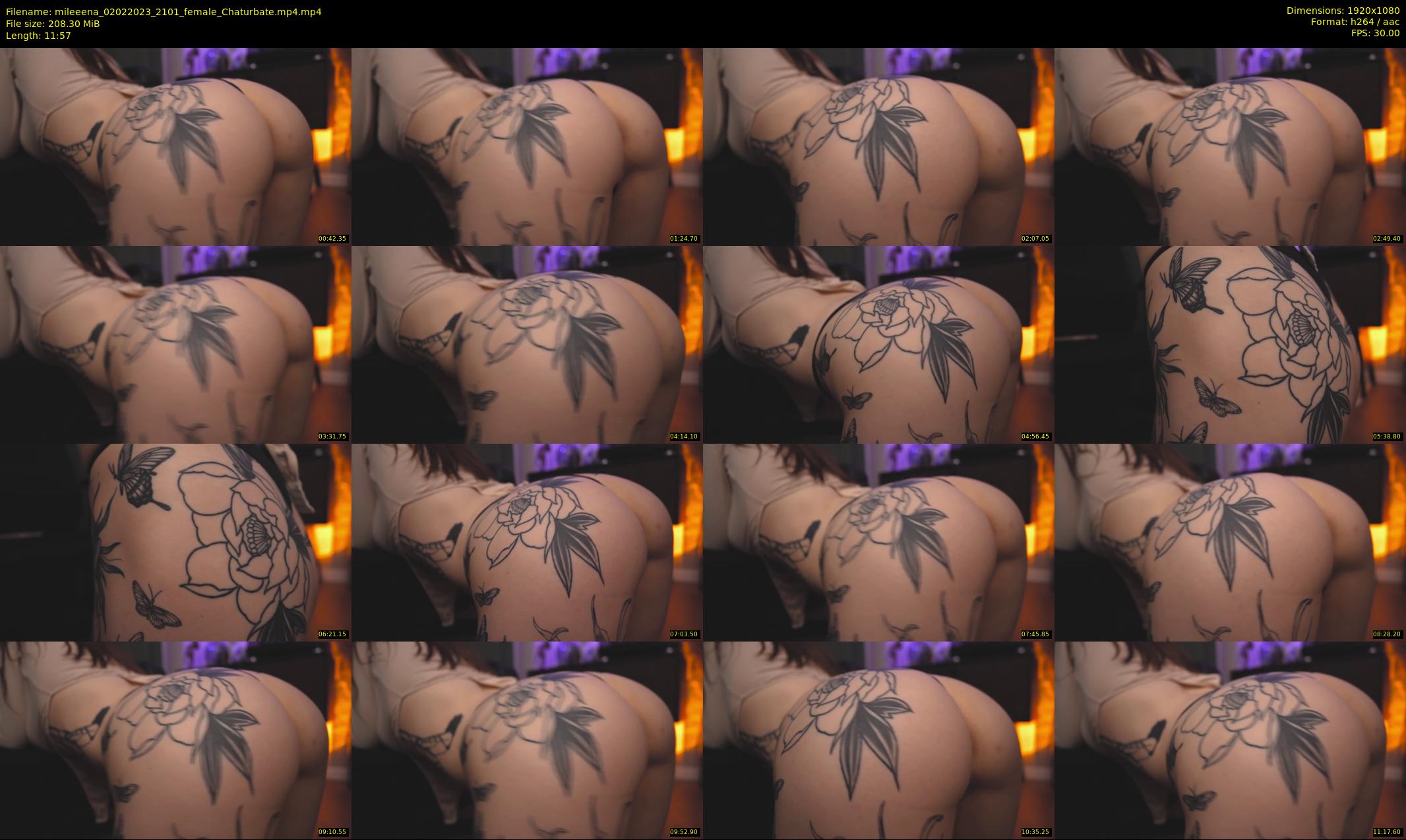 mileeena — 12 minute Chaturbate female cam show recording, 1080p, Feb 2, 2023
