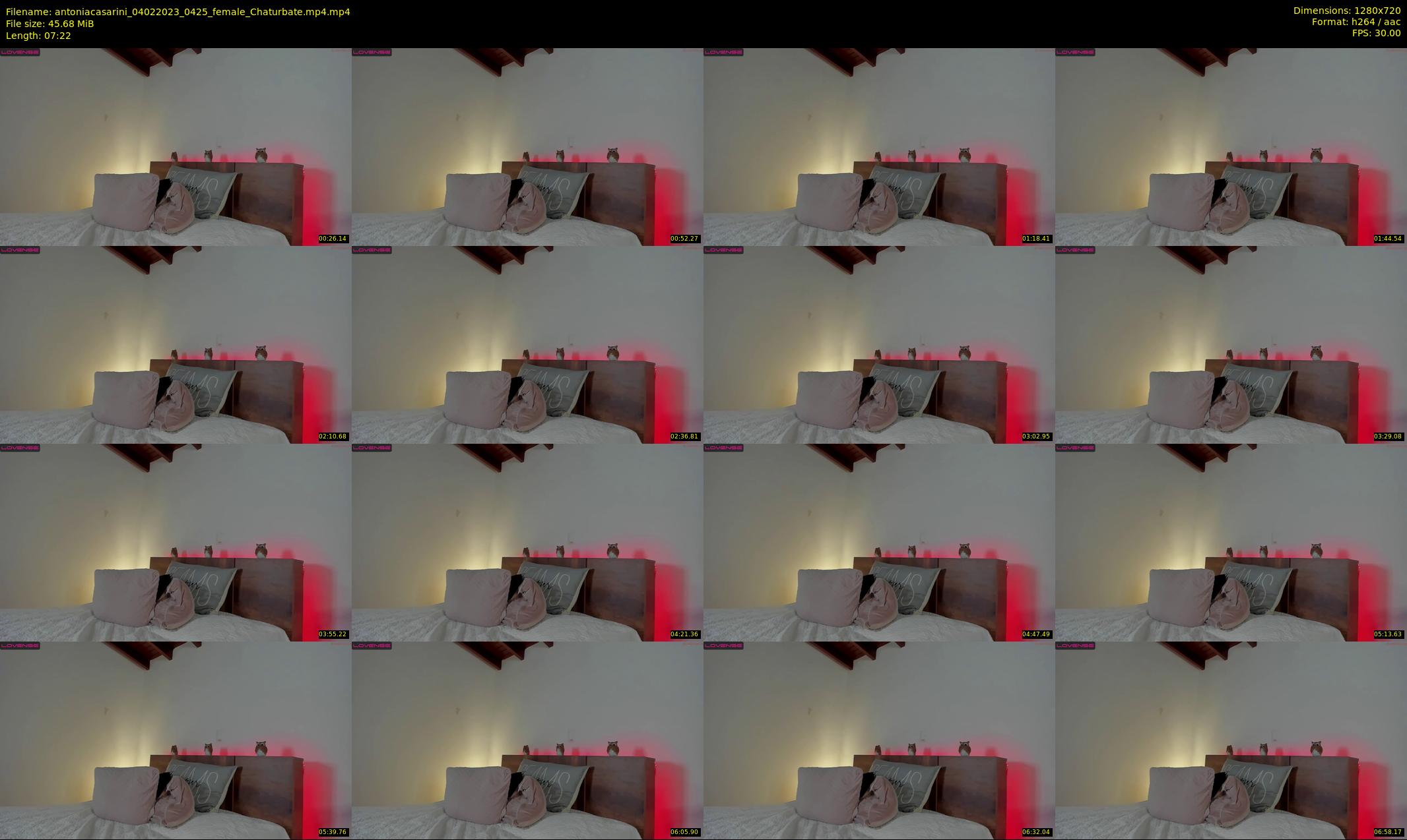 antoniacasarini — 8 minute Chaturbate female cam show recording, 720p, Feb 4, 2023