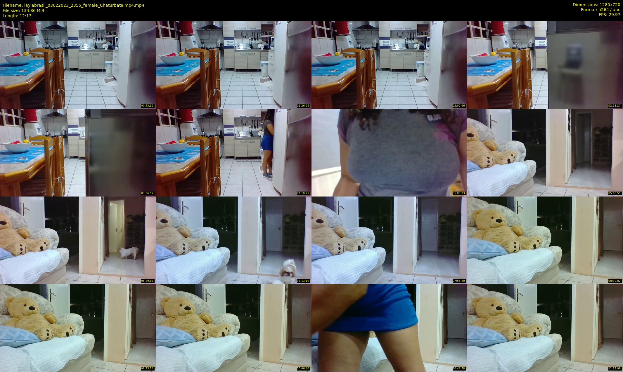 laylabrasil — 13 minute Chaturbate female cam show recording, 720p, Feb 3, 2023