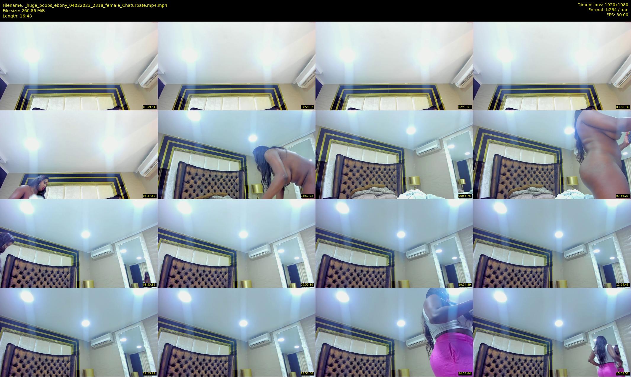 _huge_boobs_ebony — 17 minute Chaturbate female cam show recording, 1080p, Feb 4, 2023