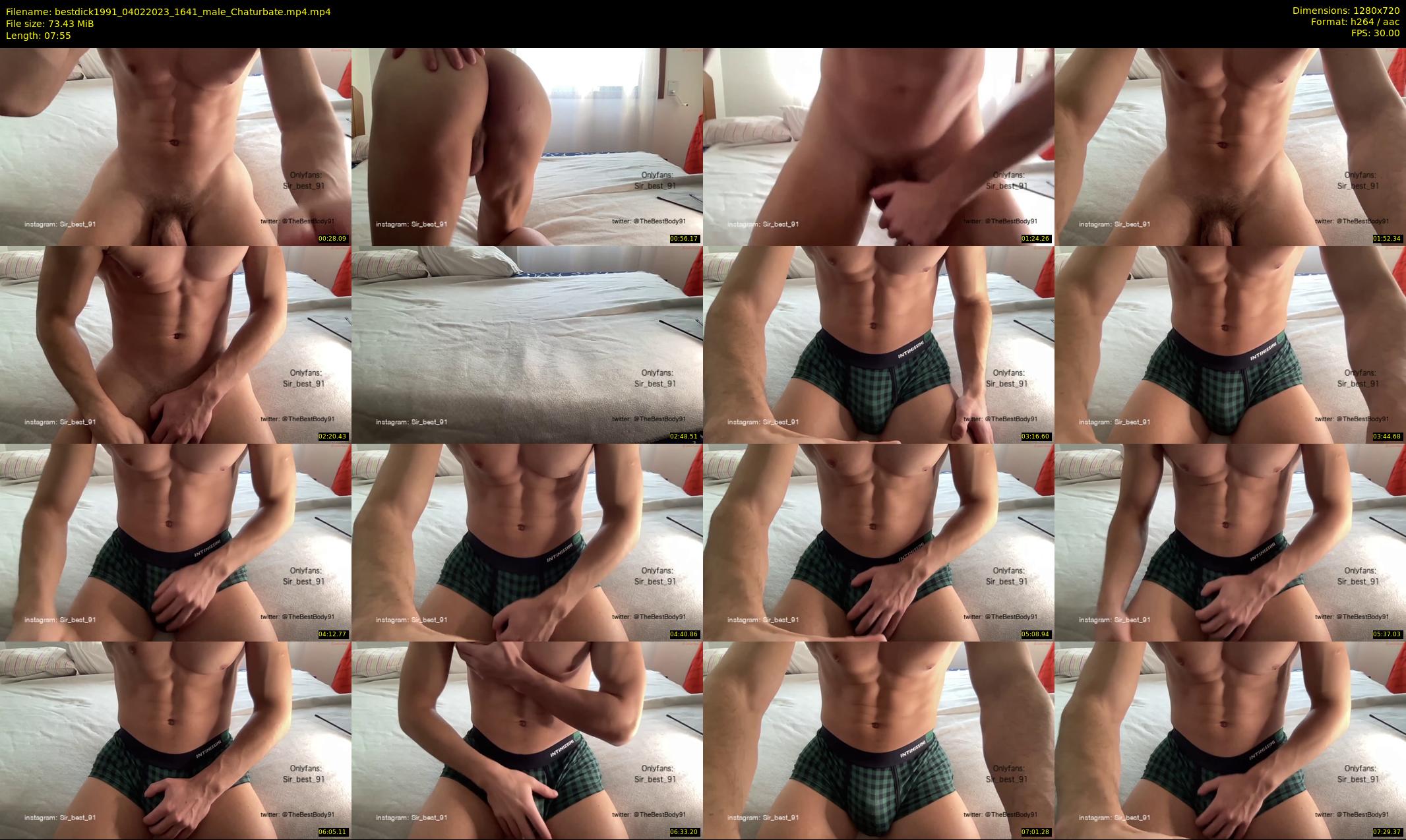 bestdick1991 — 8 minute Chaturbate male cam show recording, 720p, Feb 4, 2023