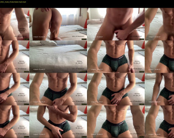 bestdick1991 — 8 minute Chaturbate male cam show recording, 720p, Feb 4, 2023