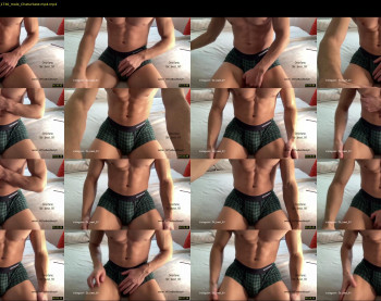 bestdick1991 — 11 minute Chaturbate male cam show recording, 720p, Feb 4, 2023