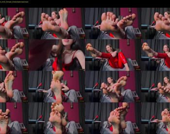 presidenttaylor — 13 minute Chaturbate female cam show recording, 1080p, Feb 4, 2023