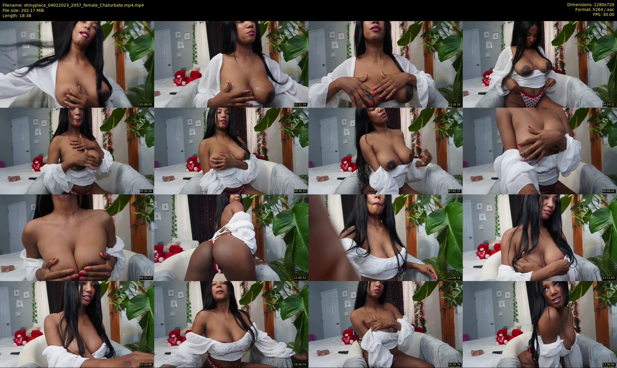 shinyplace — 19 minute Chaturbate couple cam show recording, 720p, Feb 4, 2023