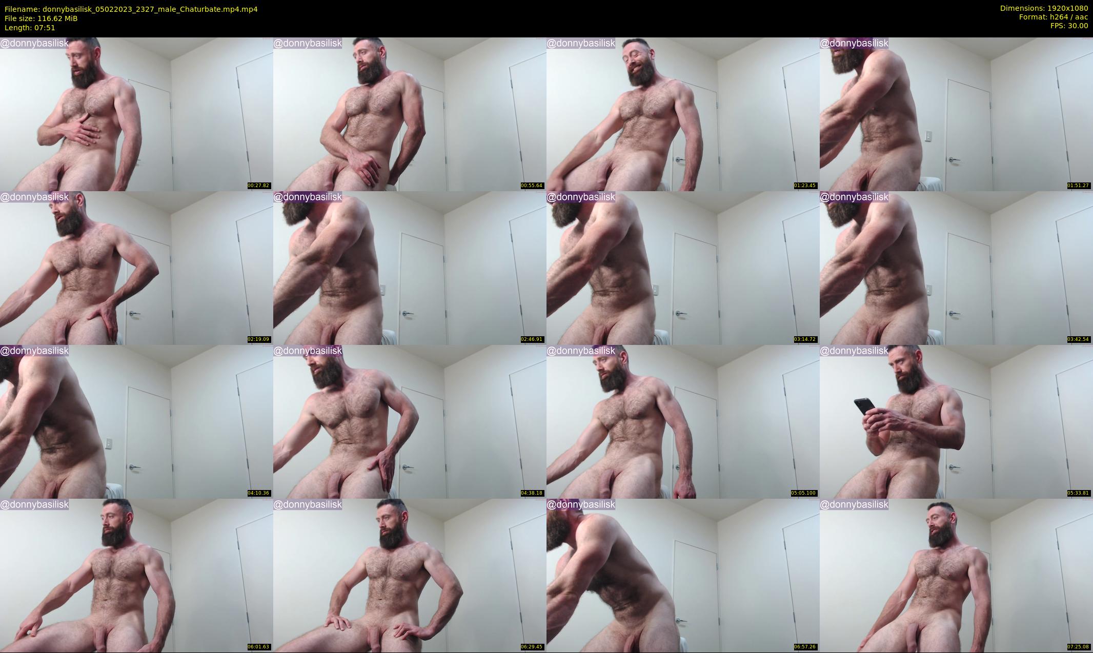 donnybasilisk — 8 minute Chaturbate male cam show recording, 1080p, Feb 5, 2023