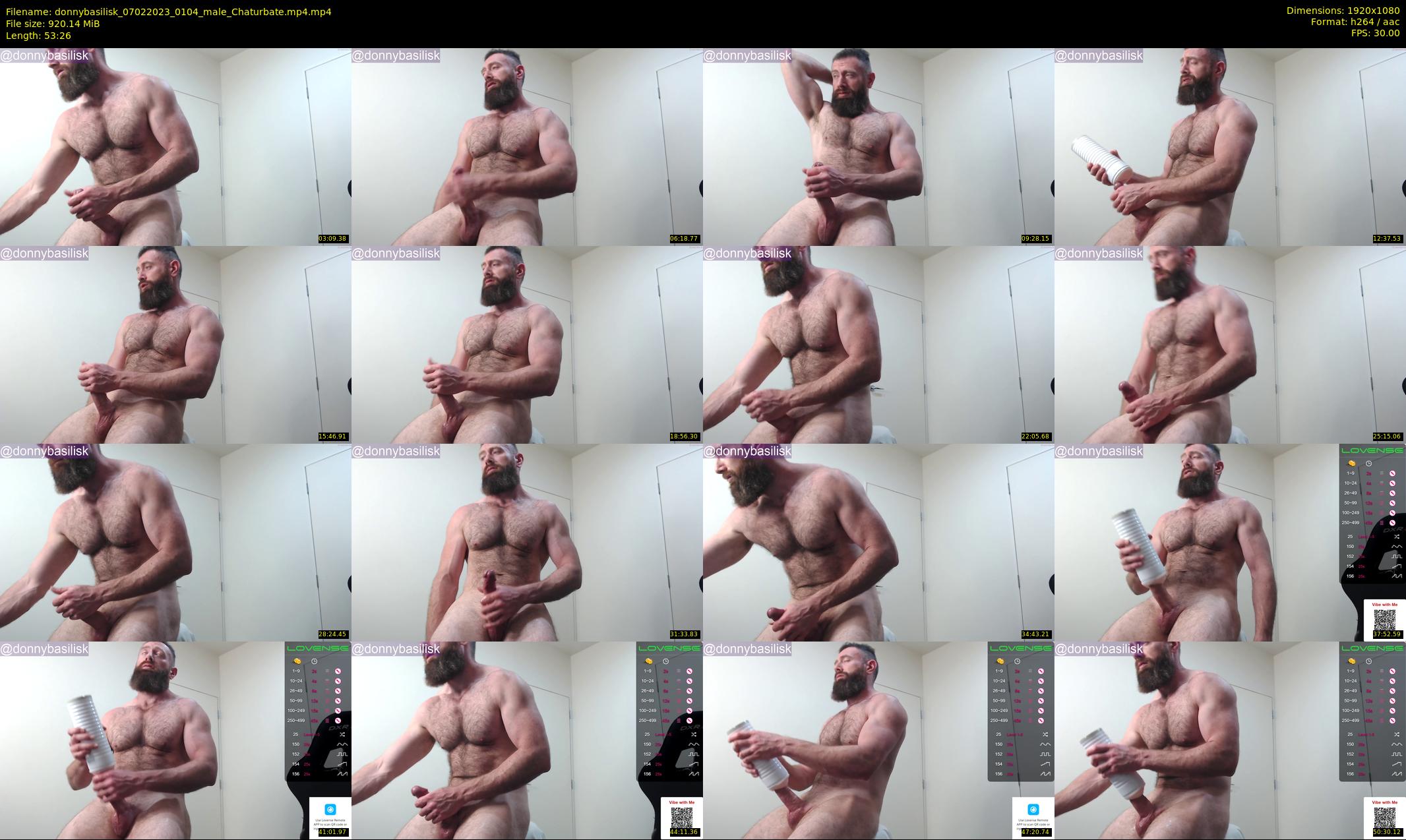 donnybasilisk — 54 minute Chaturbate male cam show recording, 1080p, Feb 7, 2023