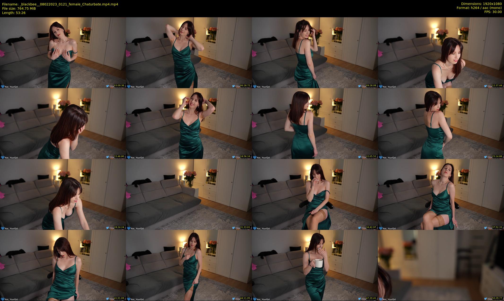 _blackbee_ — 54 minute Chaturbate female cam show recording, 1080p, Feb 8, 2023